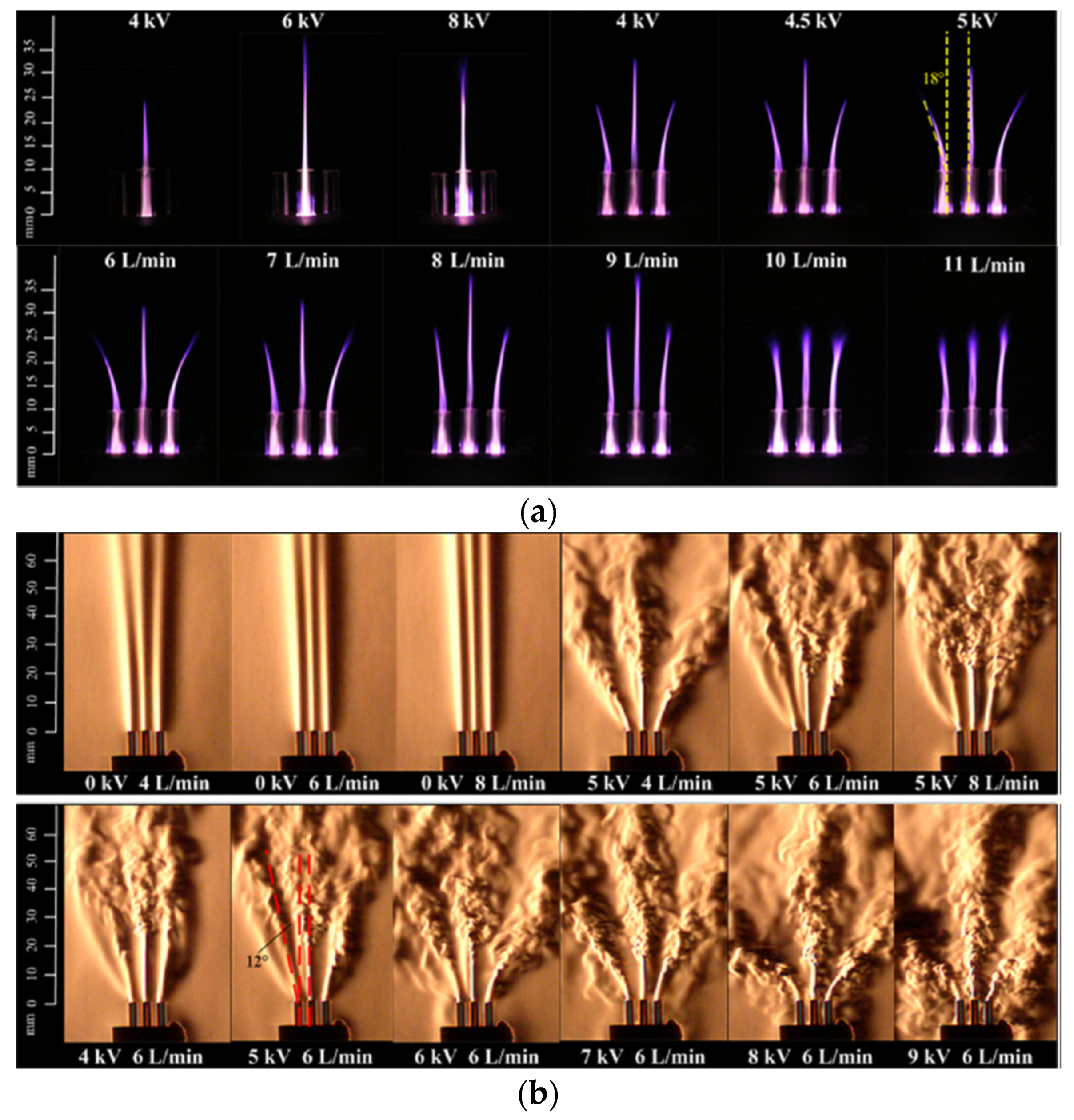 Plasma 06 00007 g003