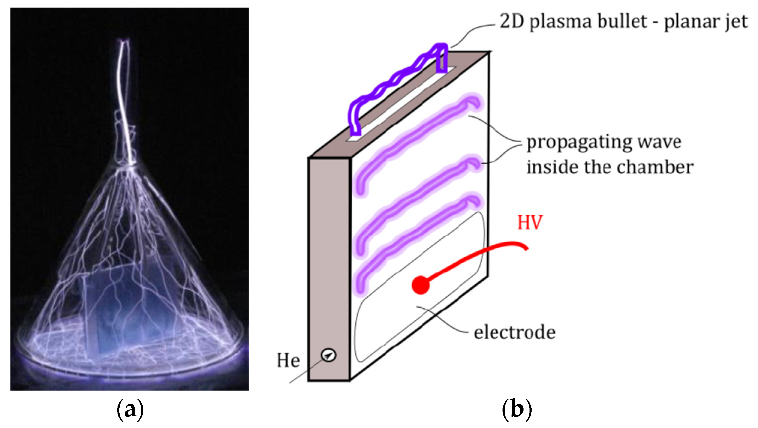 Plasma 06 00007 g004