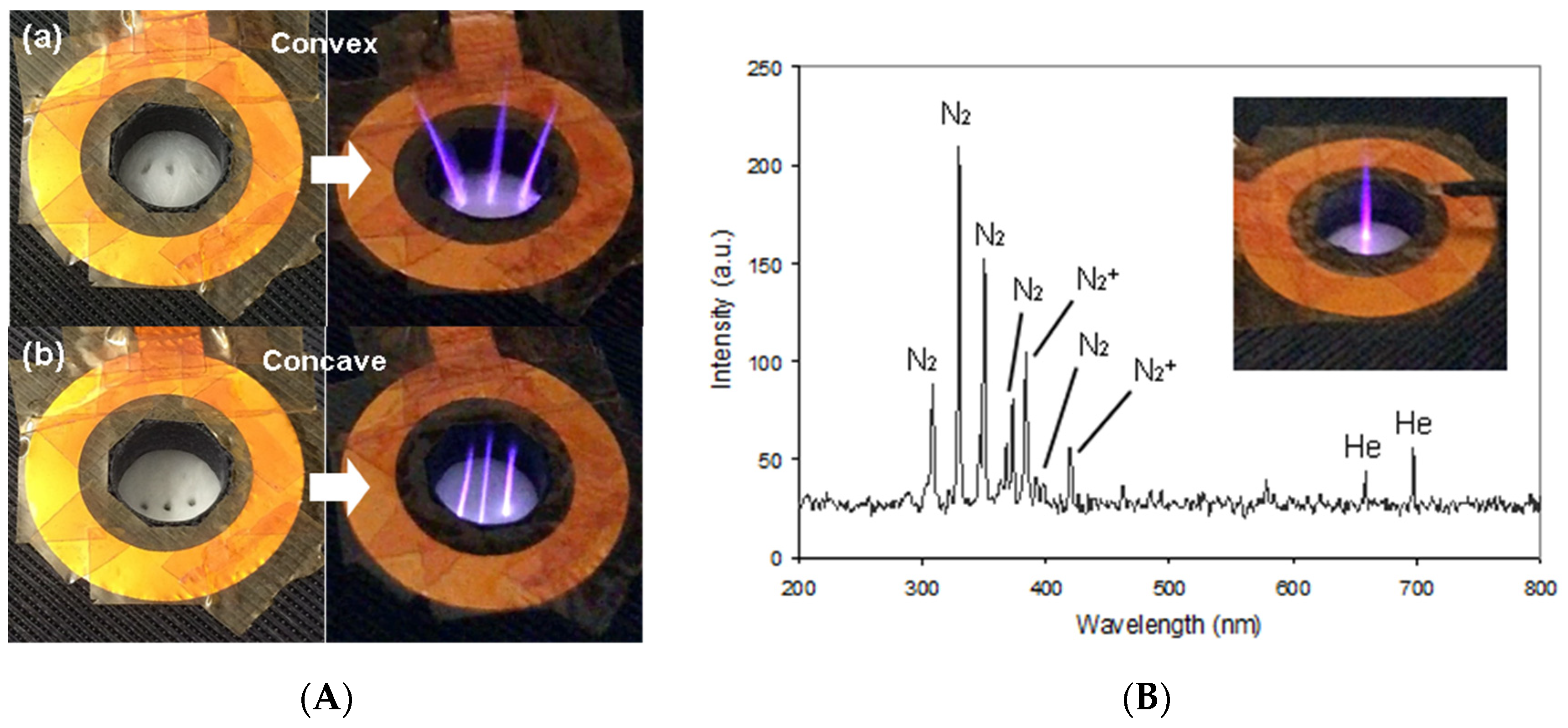 Plasma 06 00007 g008