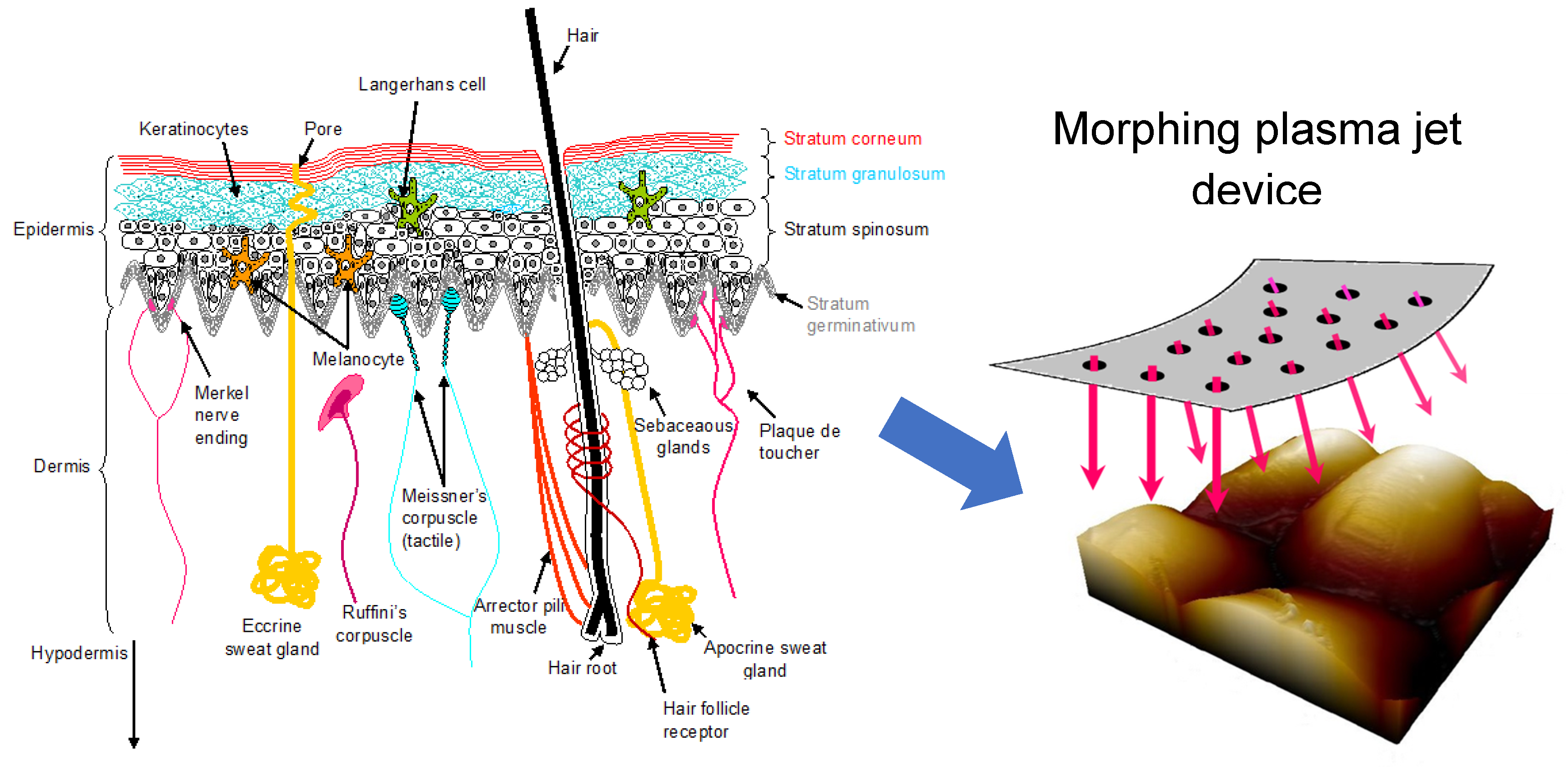 Plasma 06 00007 g014