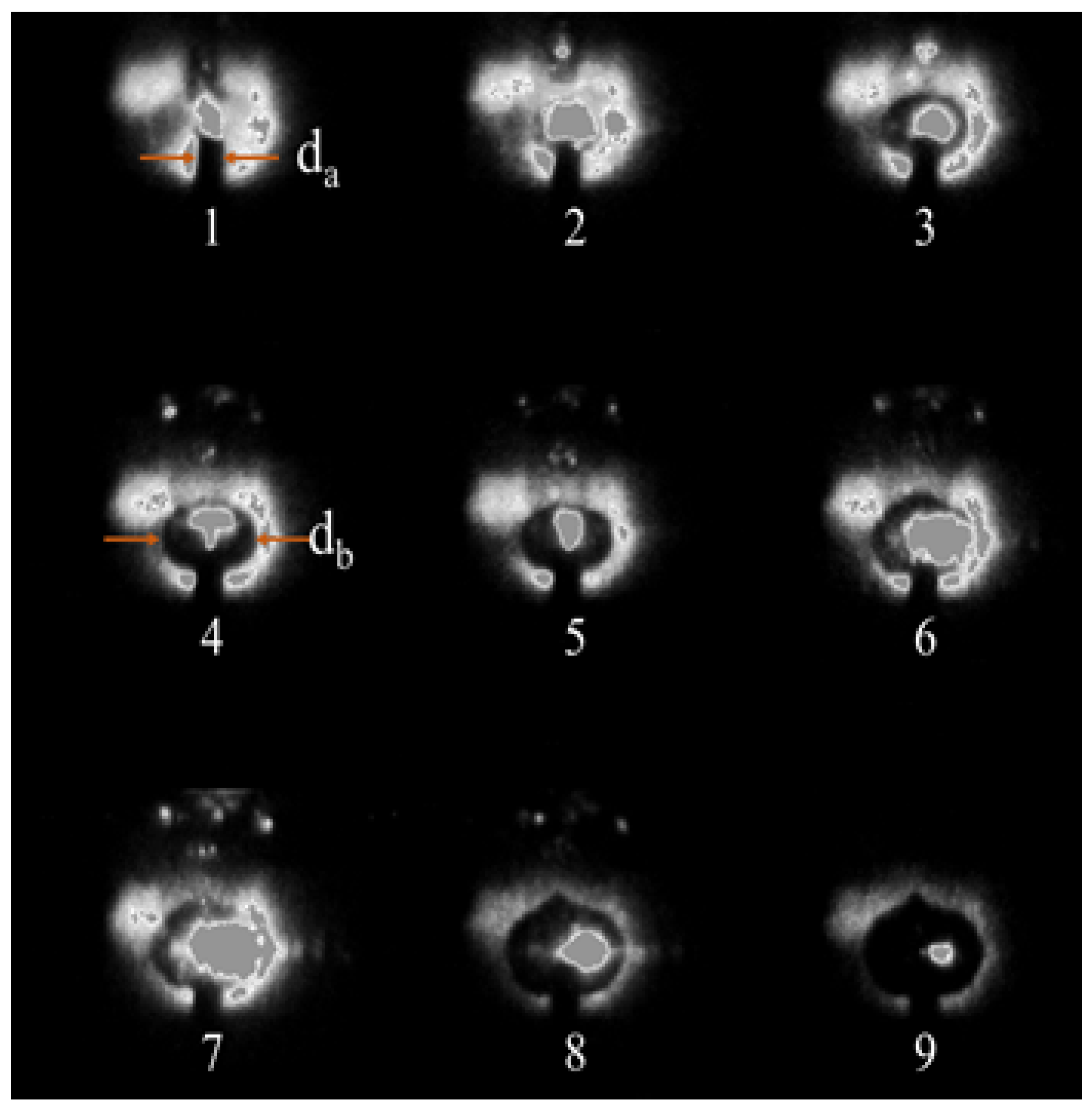 Plasma 06 00010 g005 Plasma 06 00010 g005