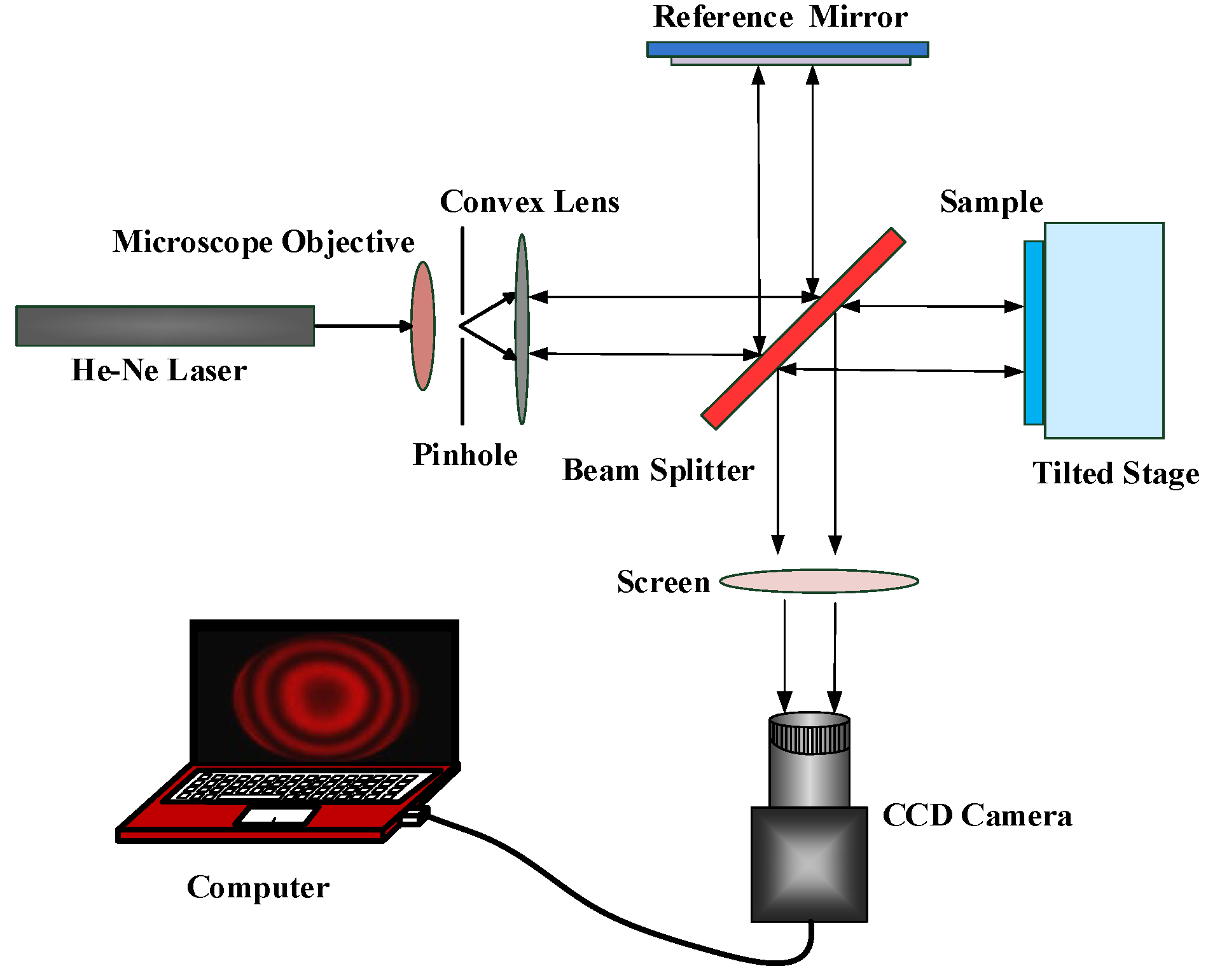 Plasma 06 00033 g002