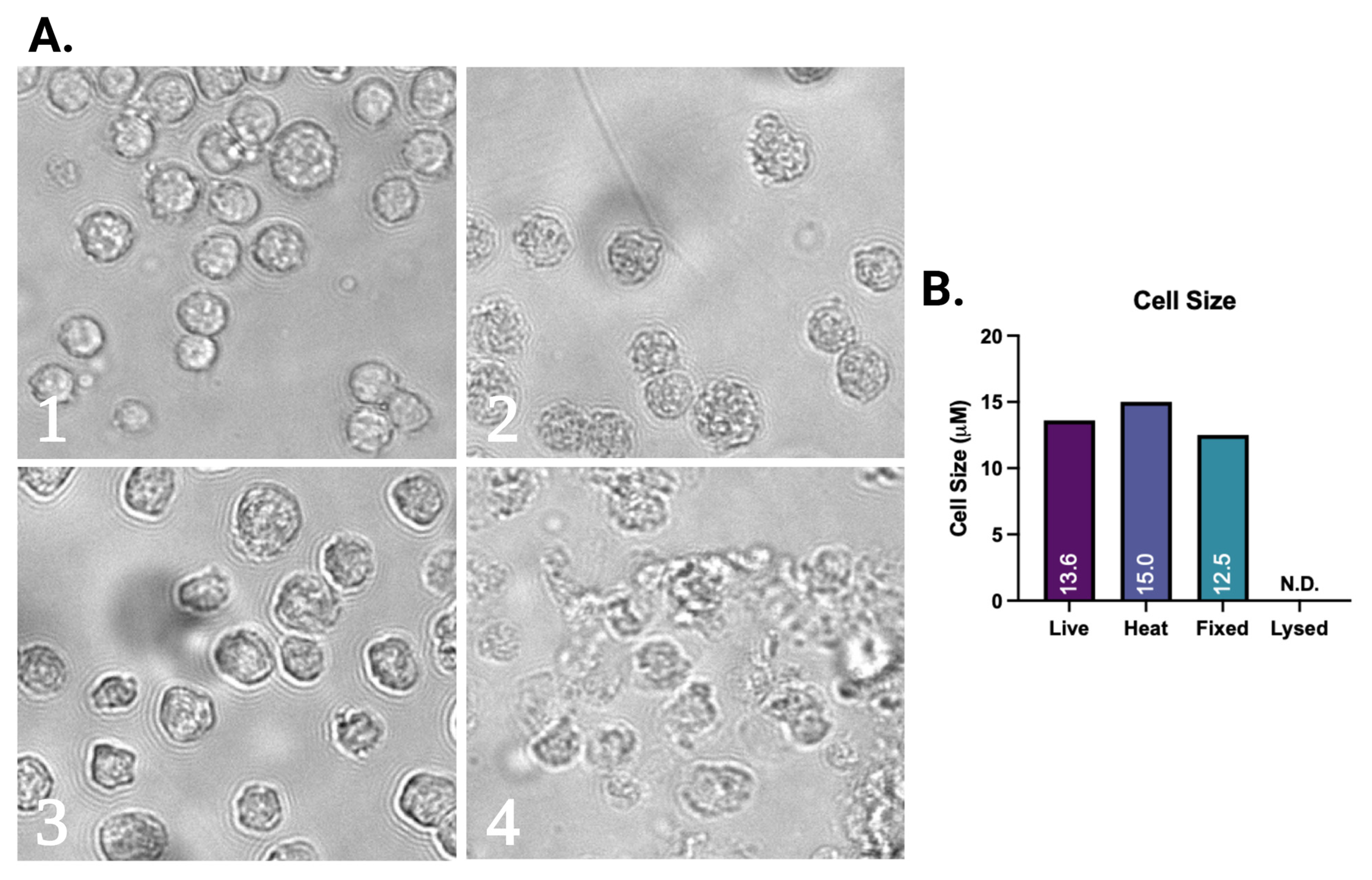 Plasma 06 00040 g003