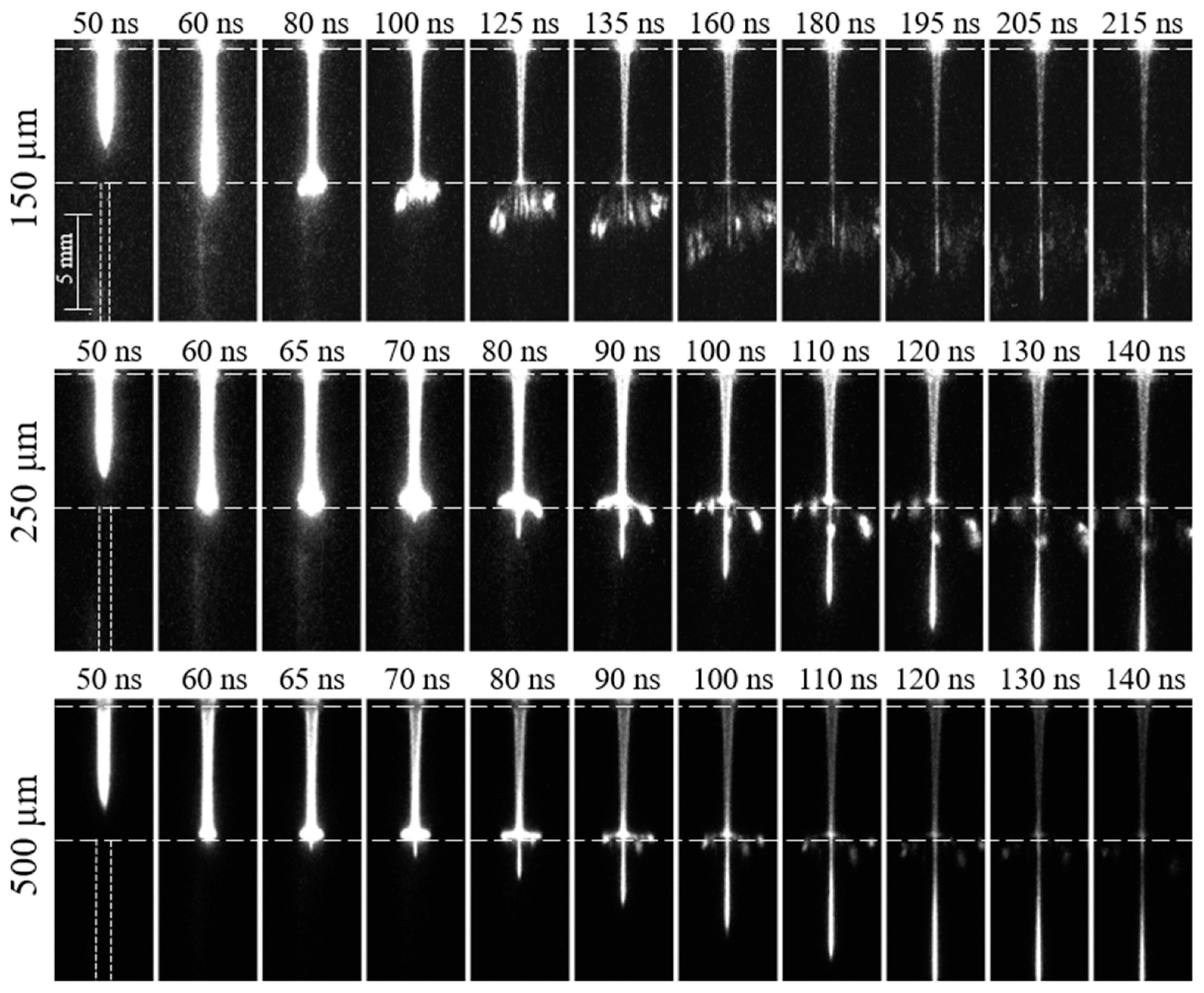 Plasma 06 00046 g006