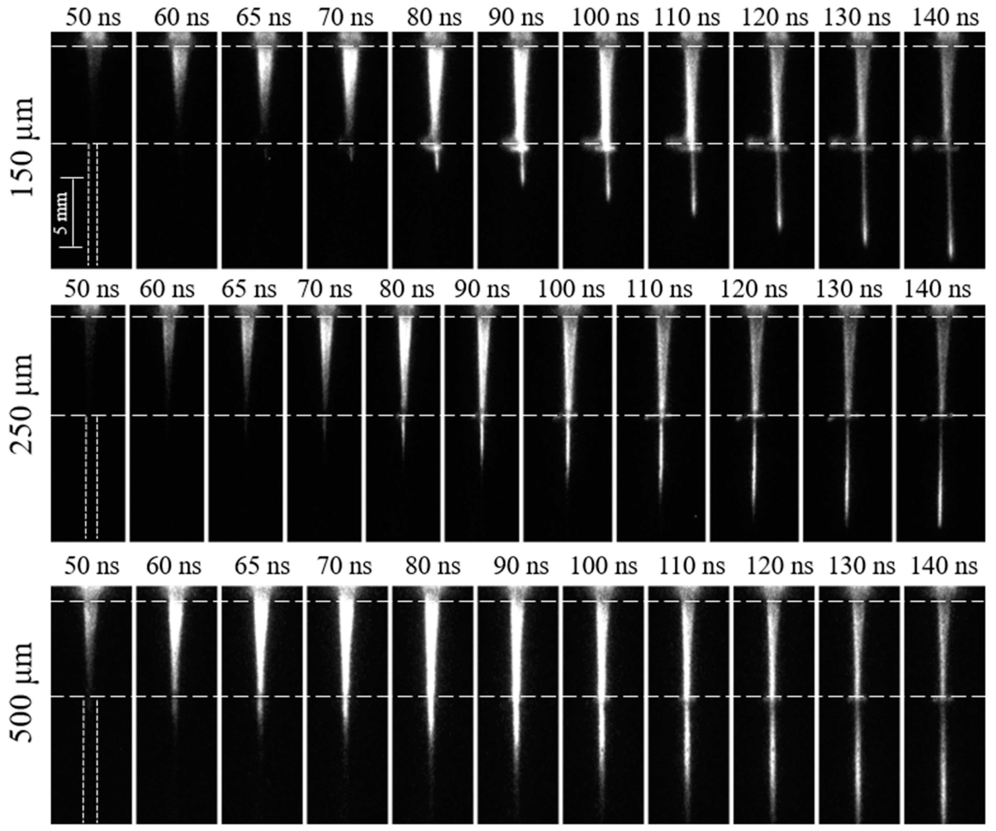 Plasma 06 00046 g007