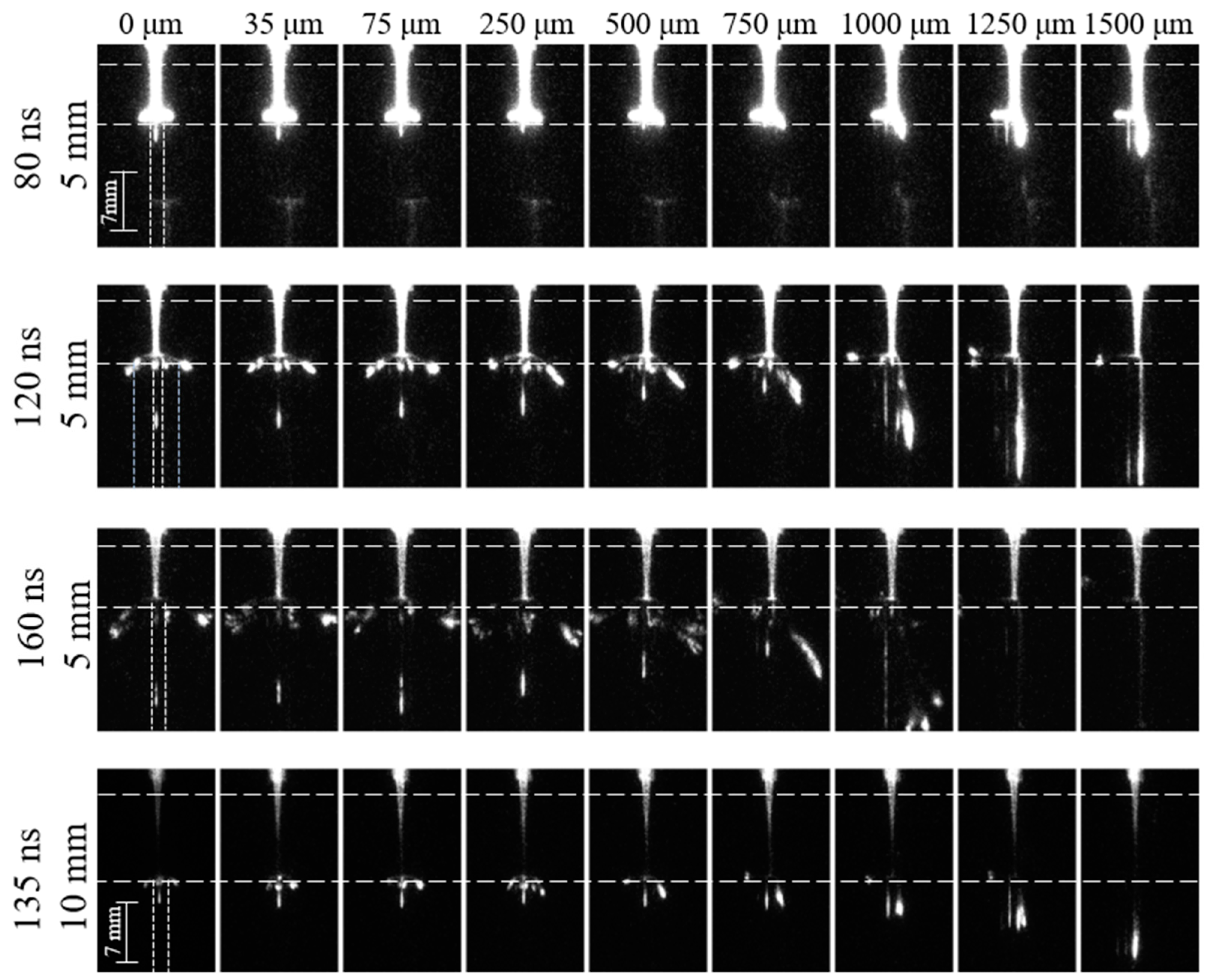 Plasma 06 00046 g010