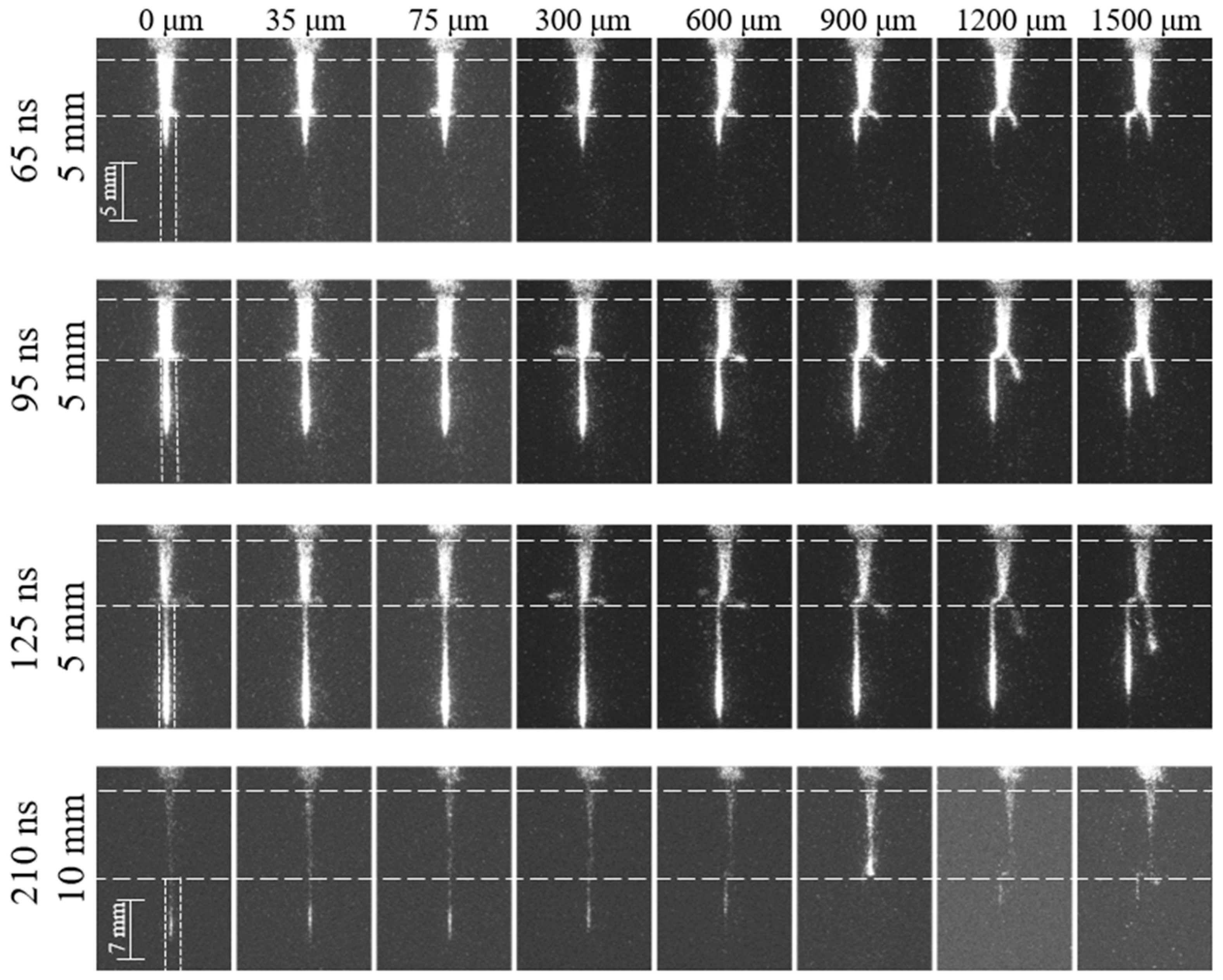 Plasma 06 00046 g011