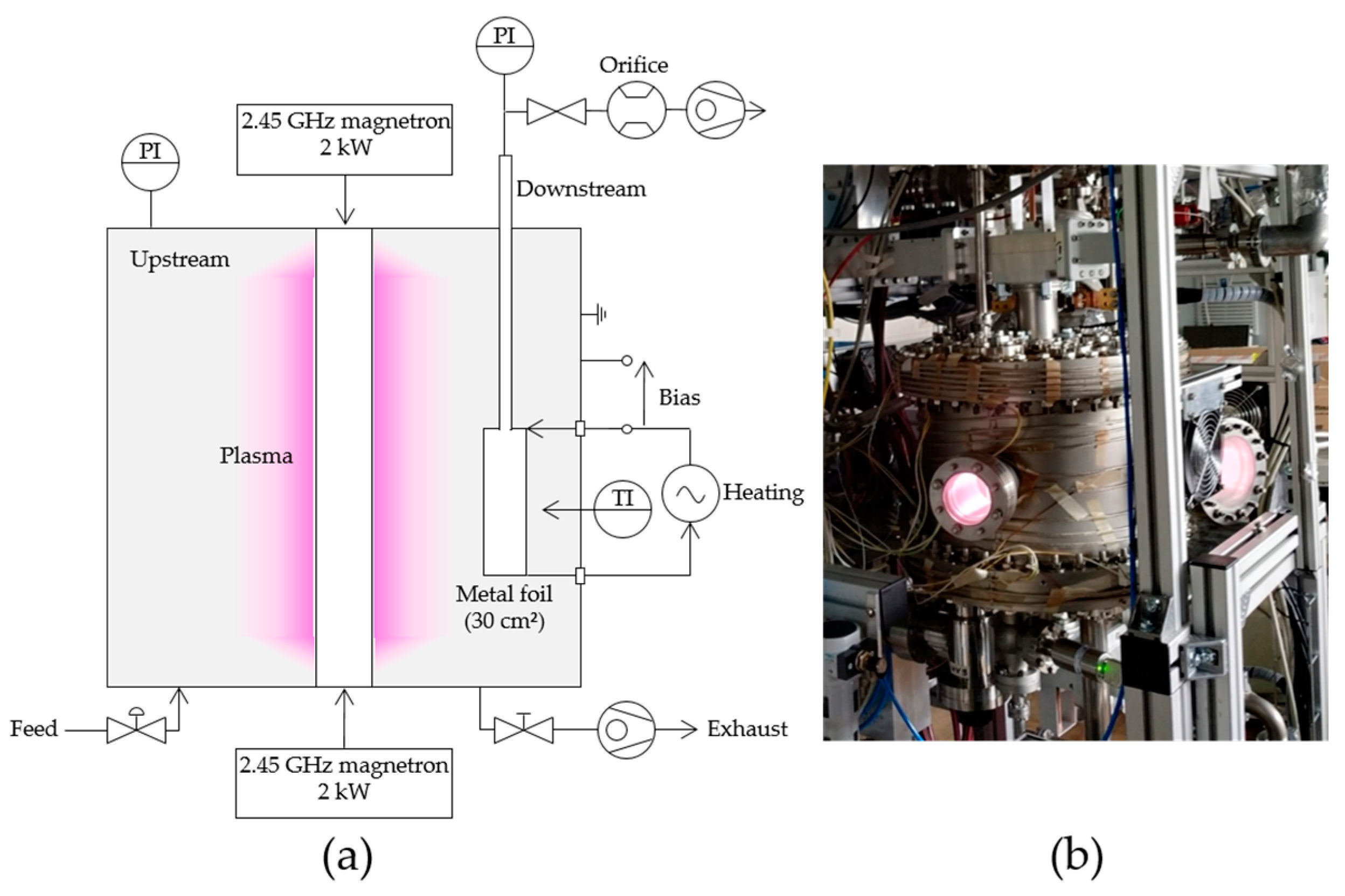 Plasma 06 00049 g002