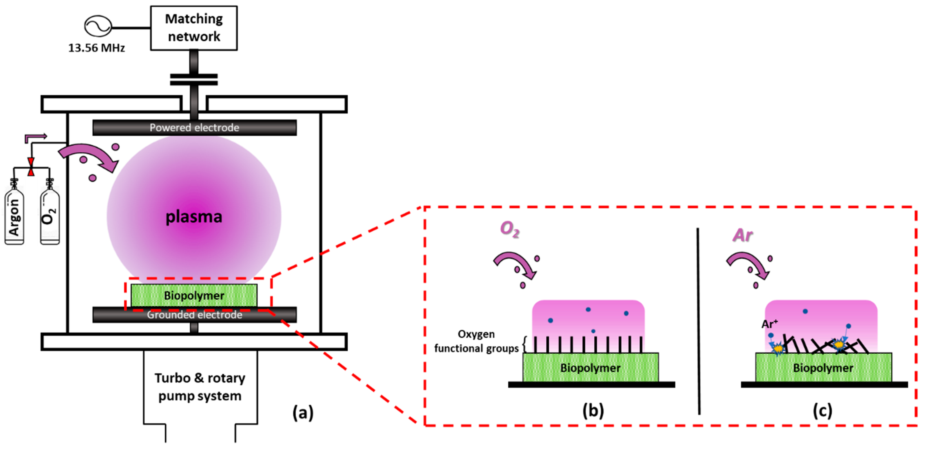 Plasma 07 00007 g001
