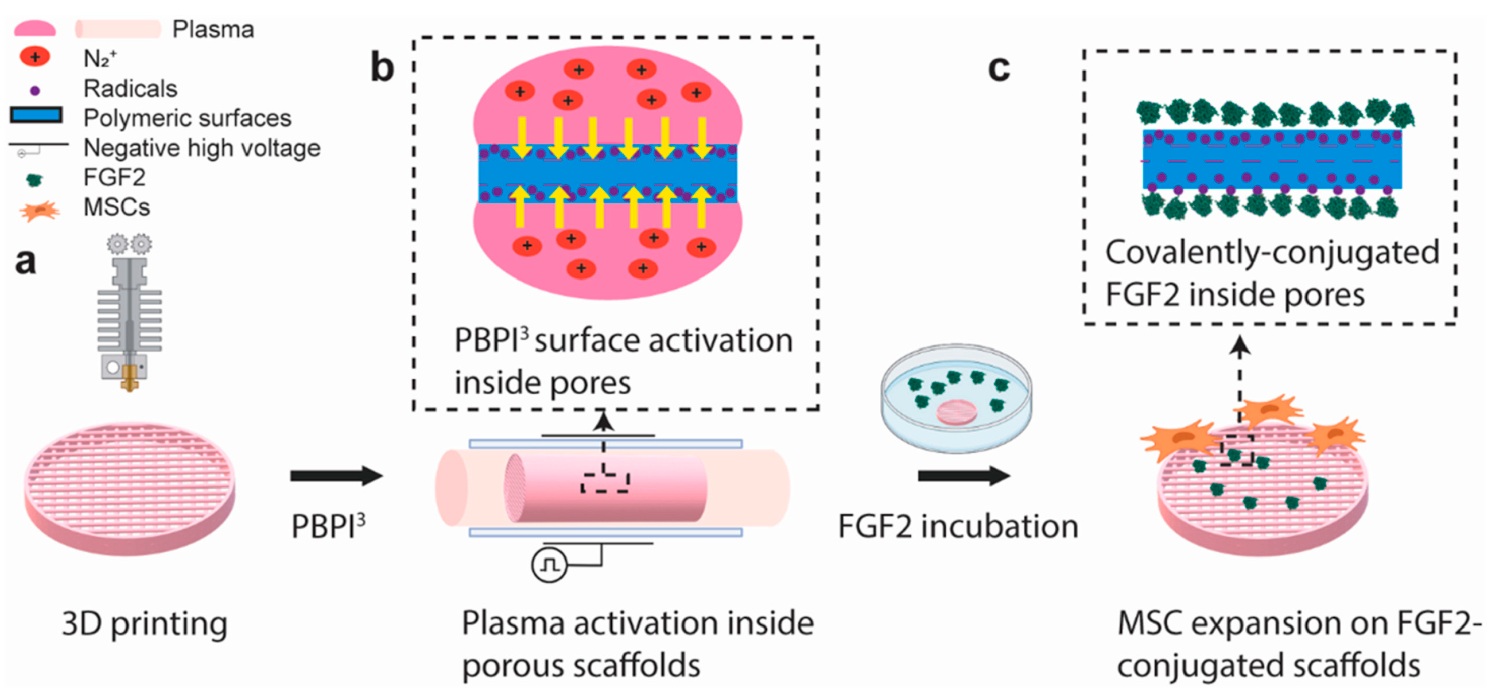 Plasma 07 00016 g003