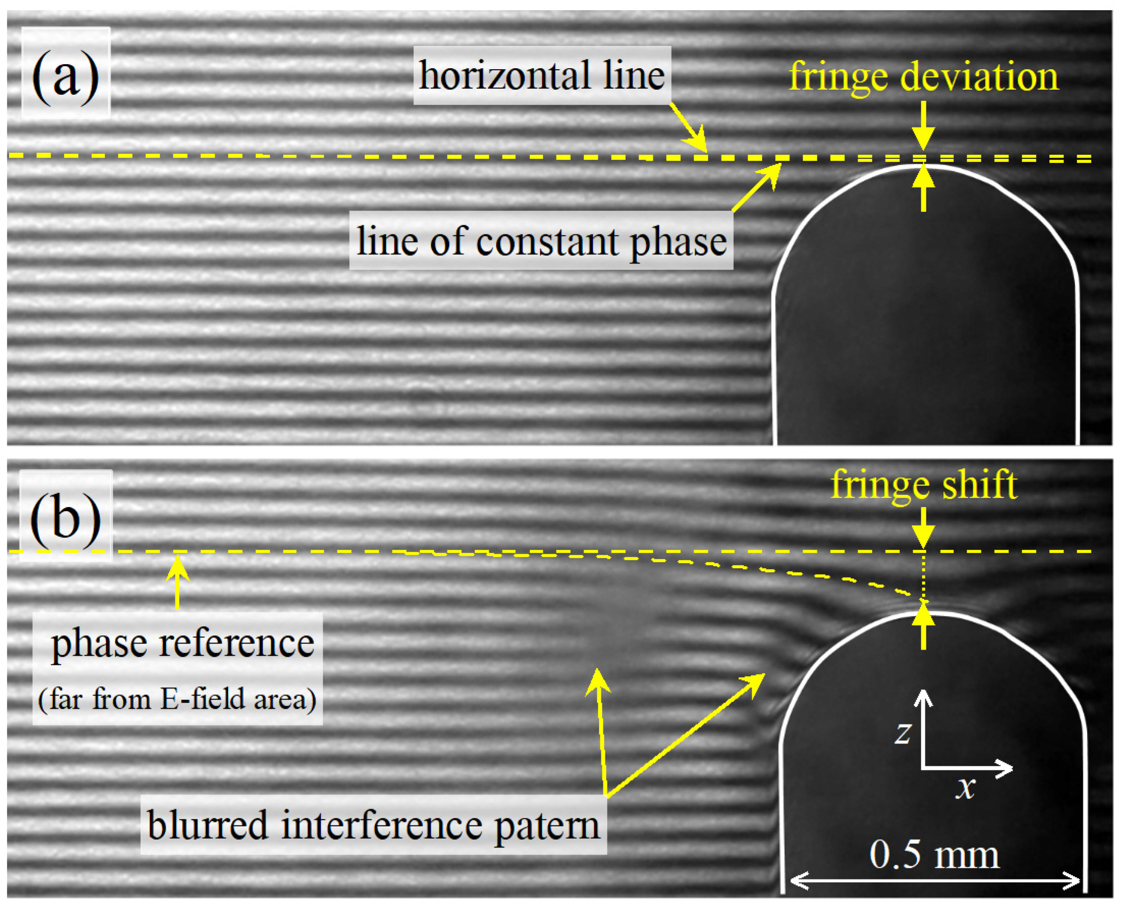 Plasma 07 00018 g007