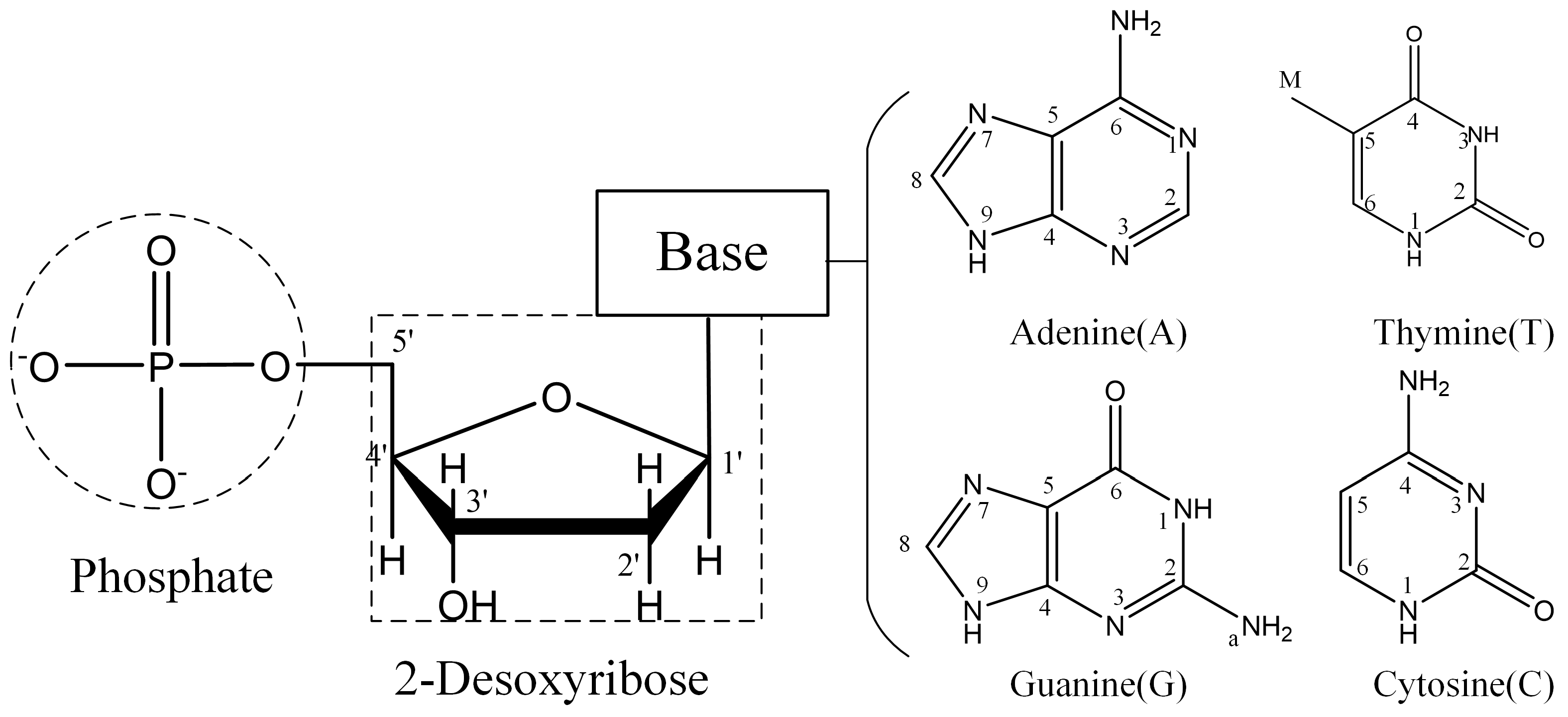 Plasma 07 00026 g001