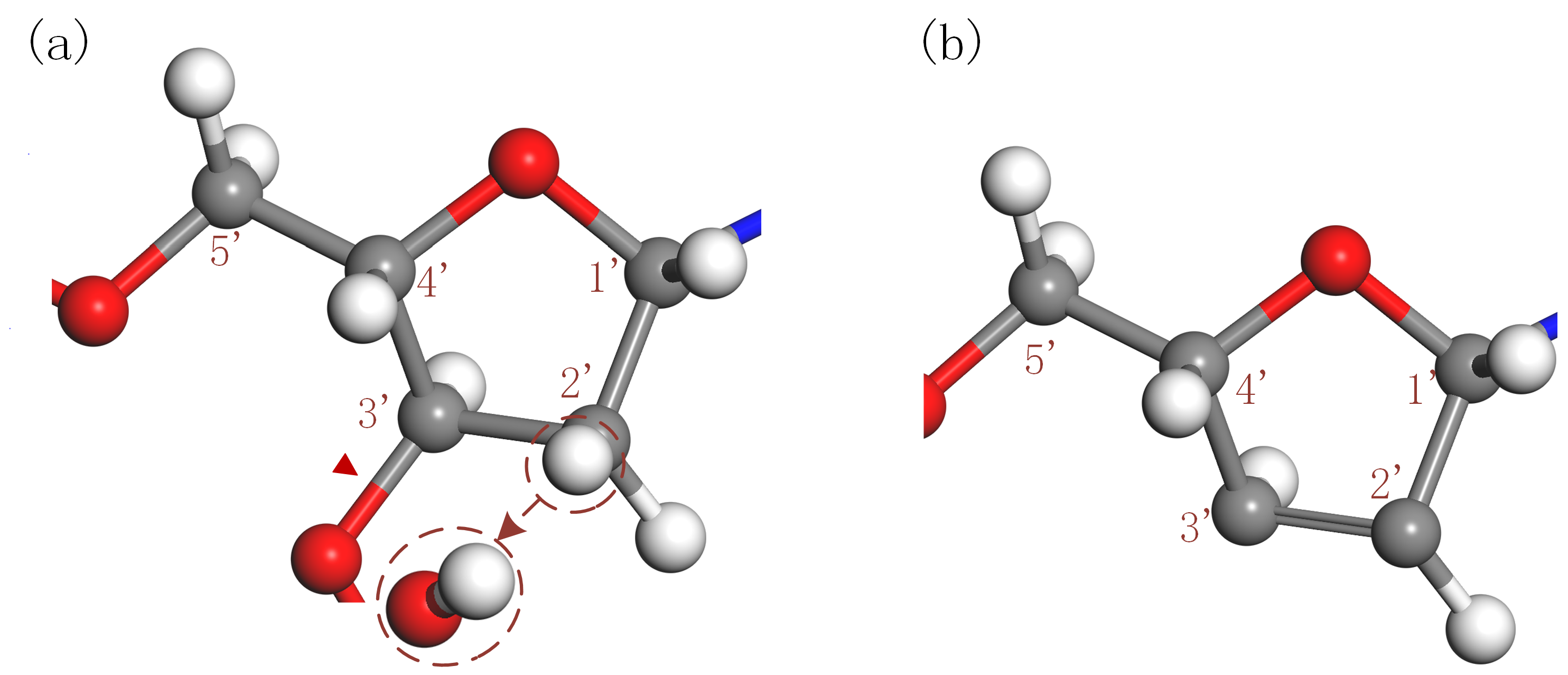 Plasma 07 00026 g005