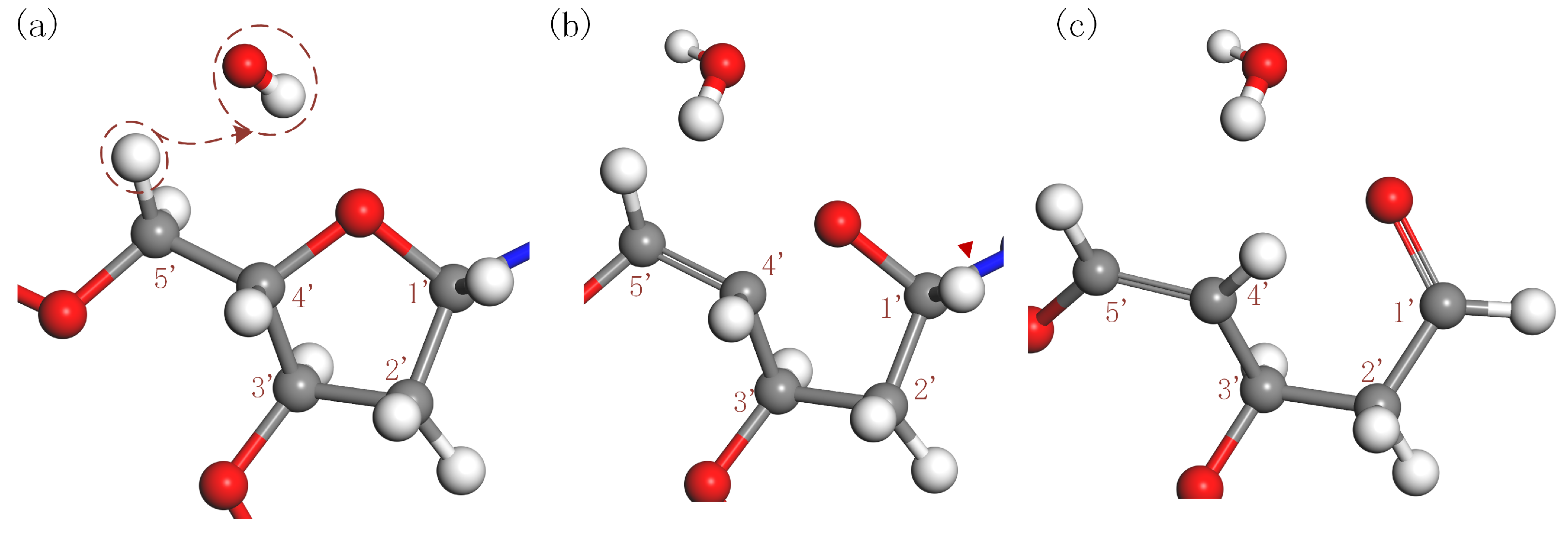Plasma 07 00026 g006