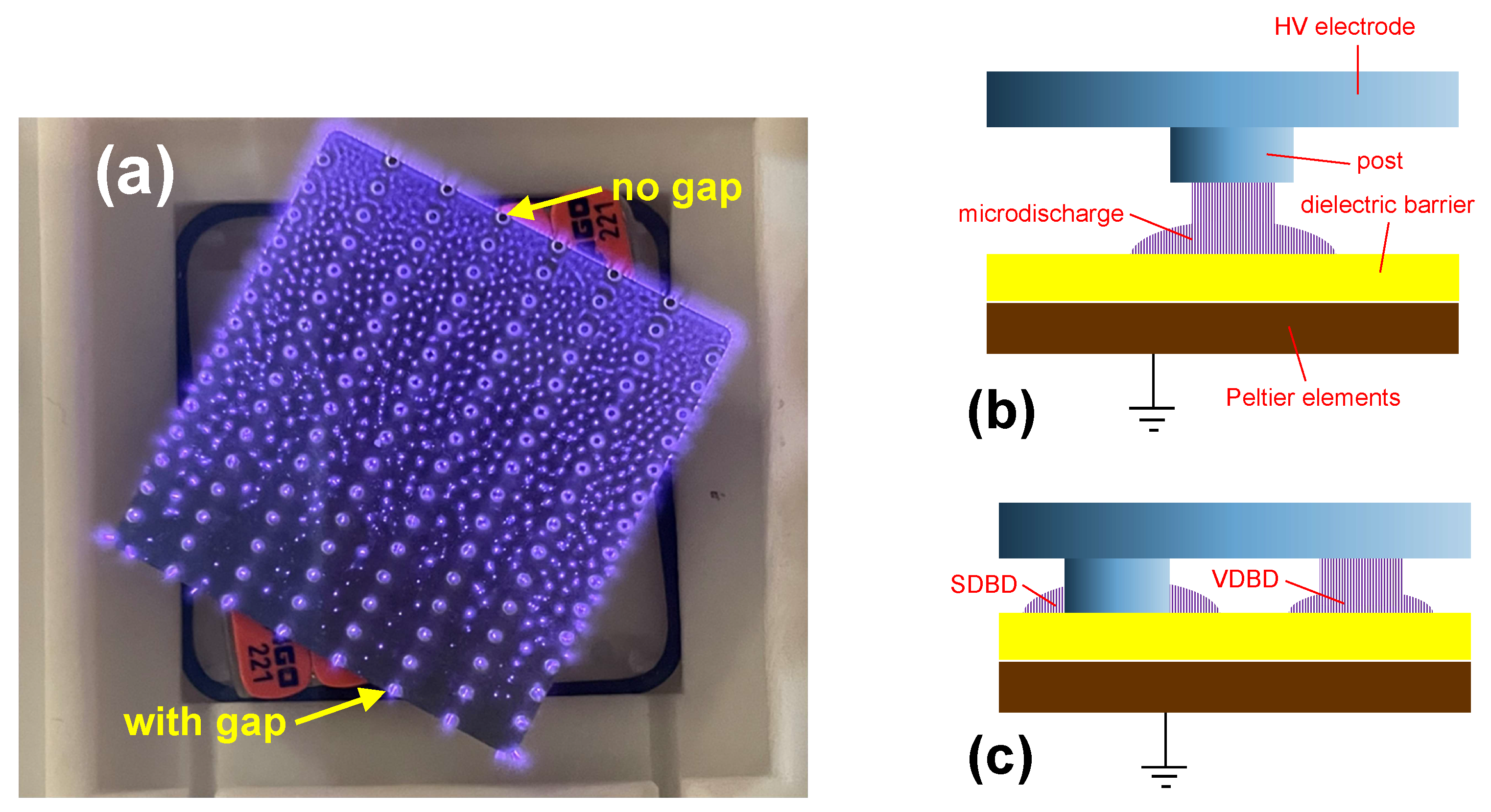Plasma 07 00031 g003