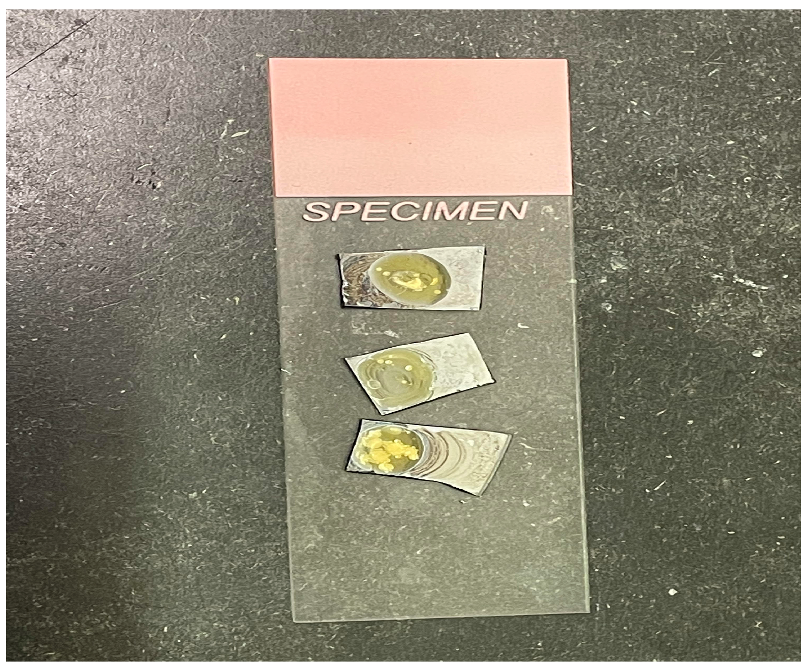 Plasma 07 00047 g002