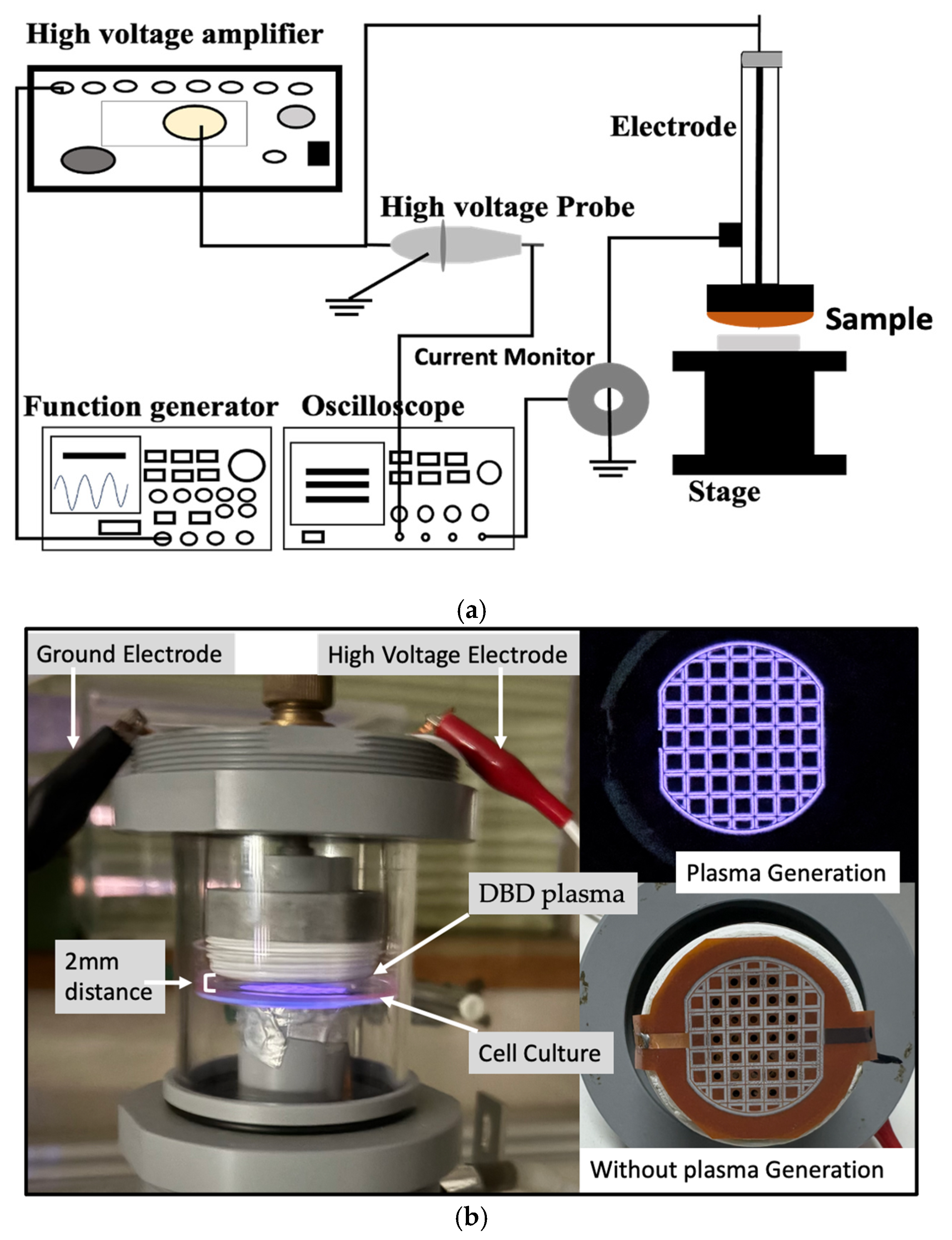 Plasma 08 00019 g001