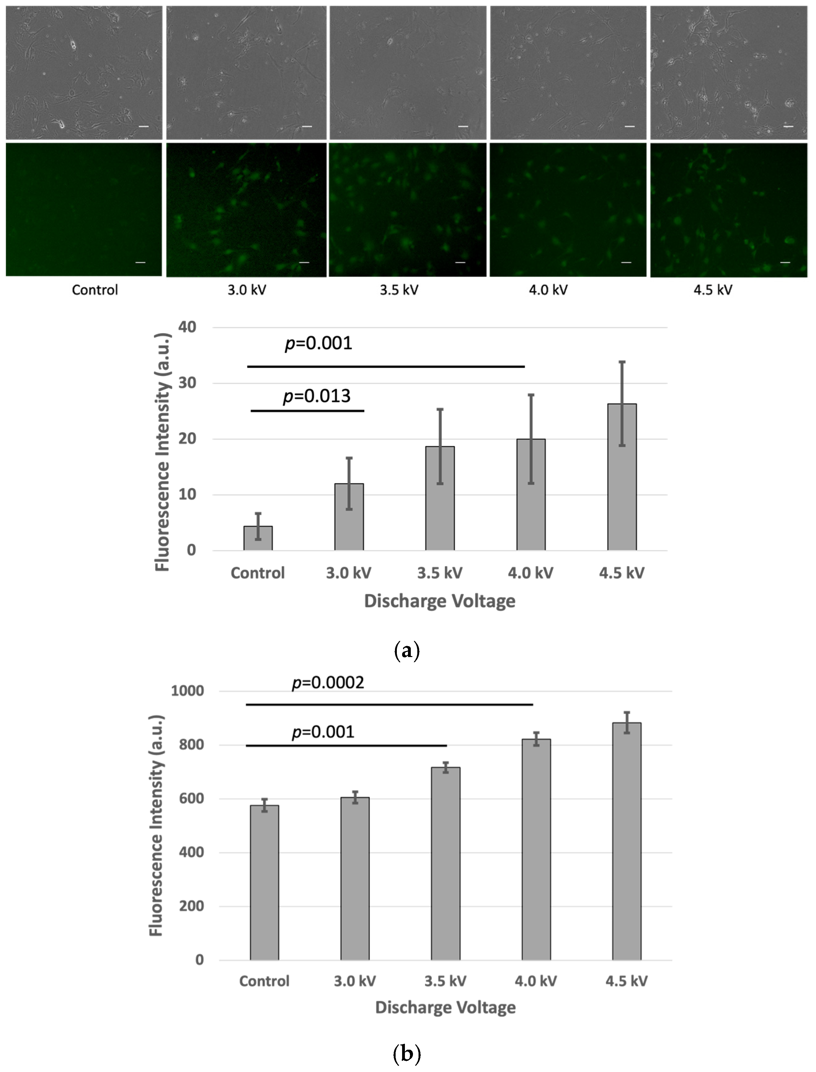 Plasma 08 00019 g002