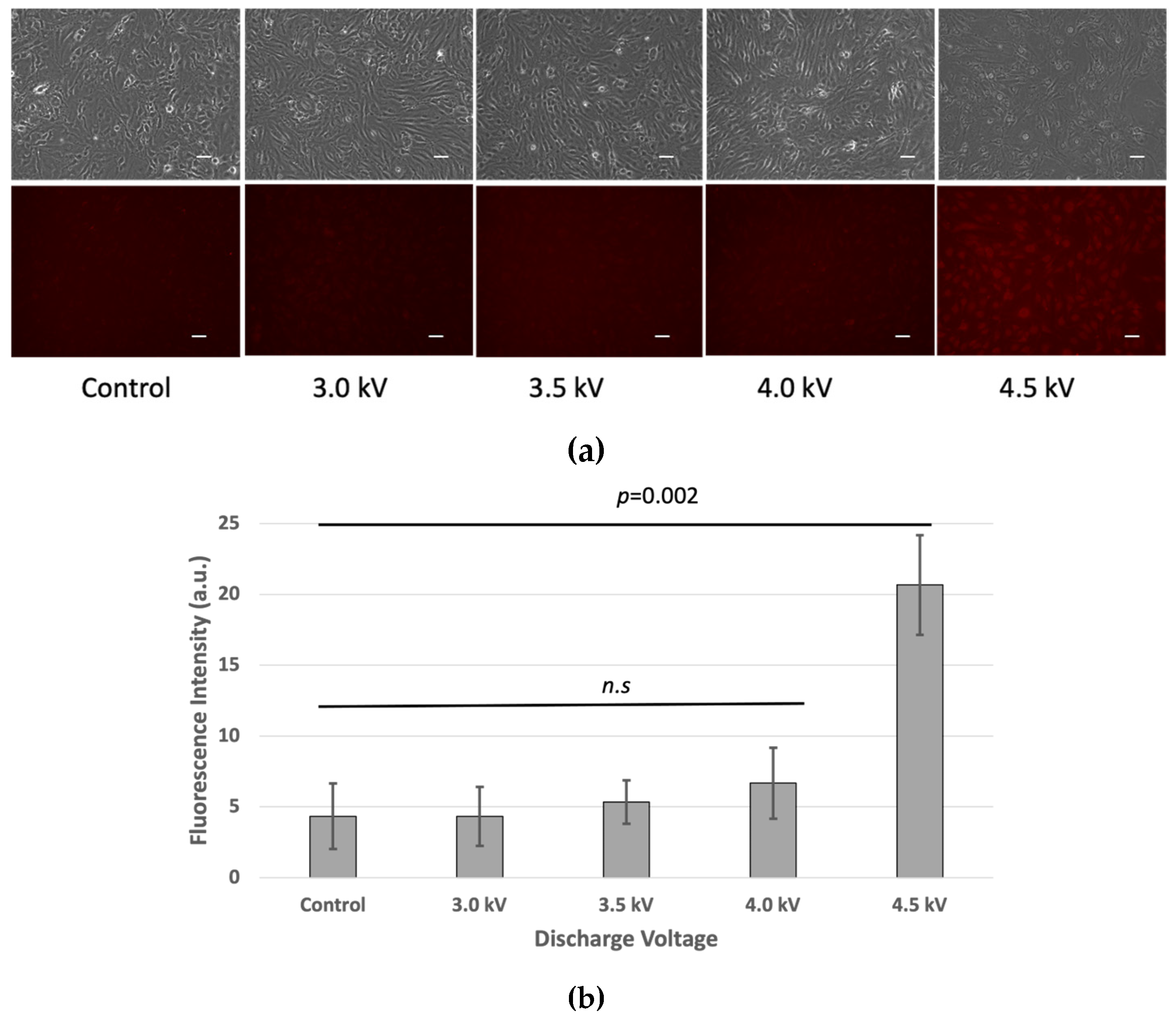Plasma 08 00019 g004