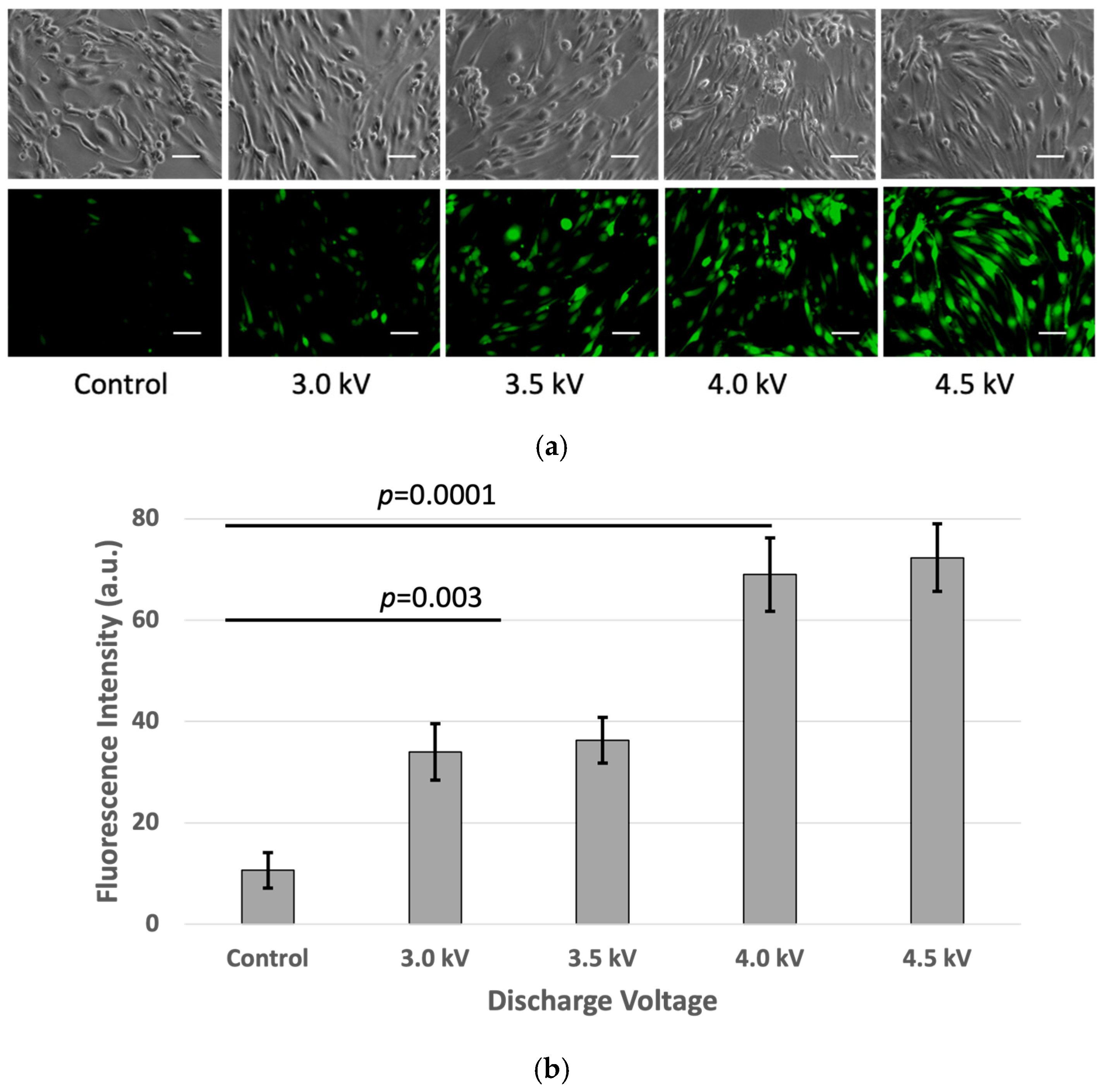 Plasma 08 00019 g005