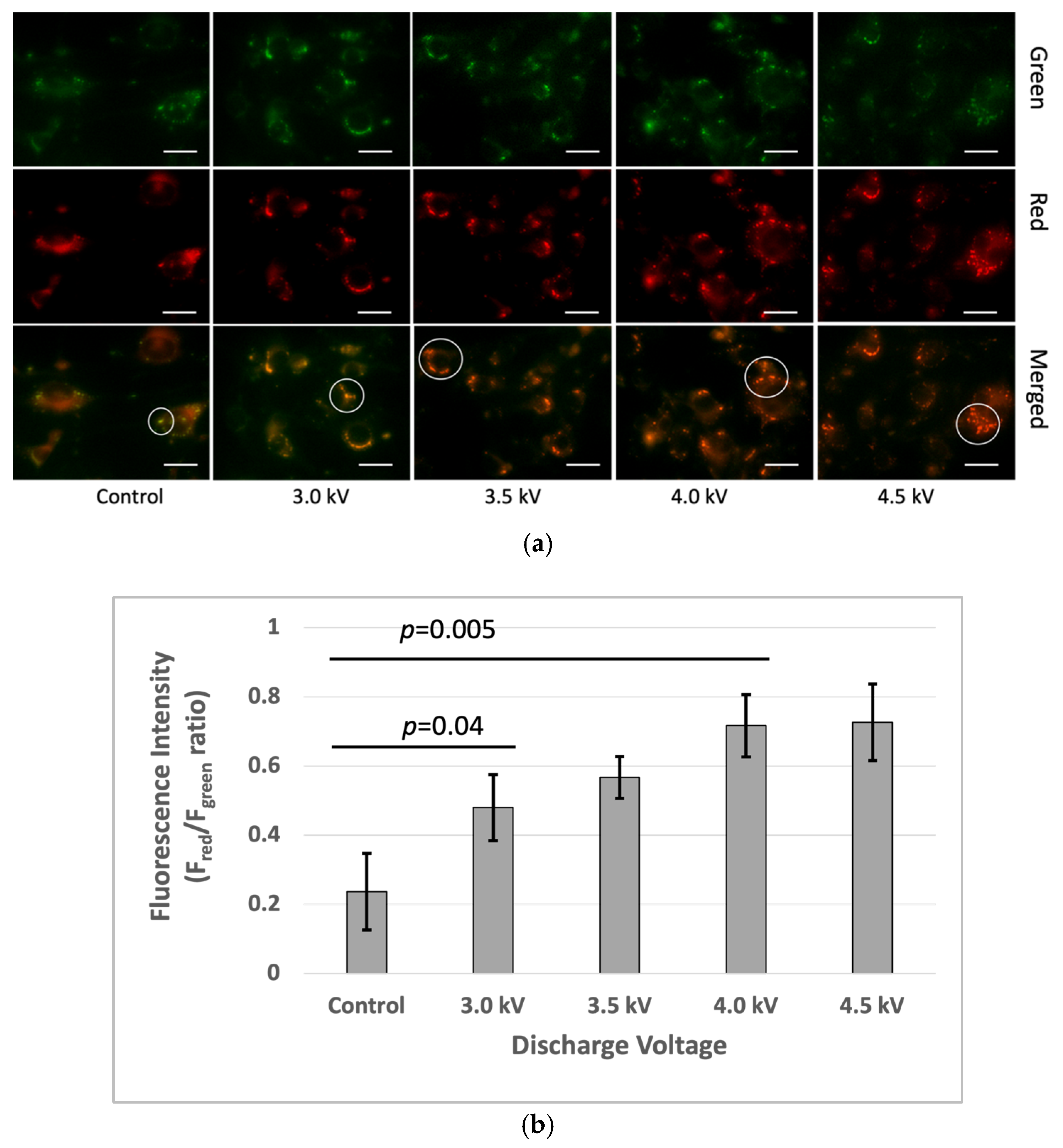 Plasma 08 00019 g006