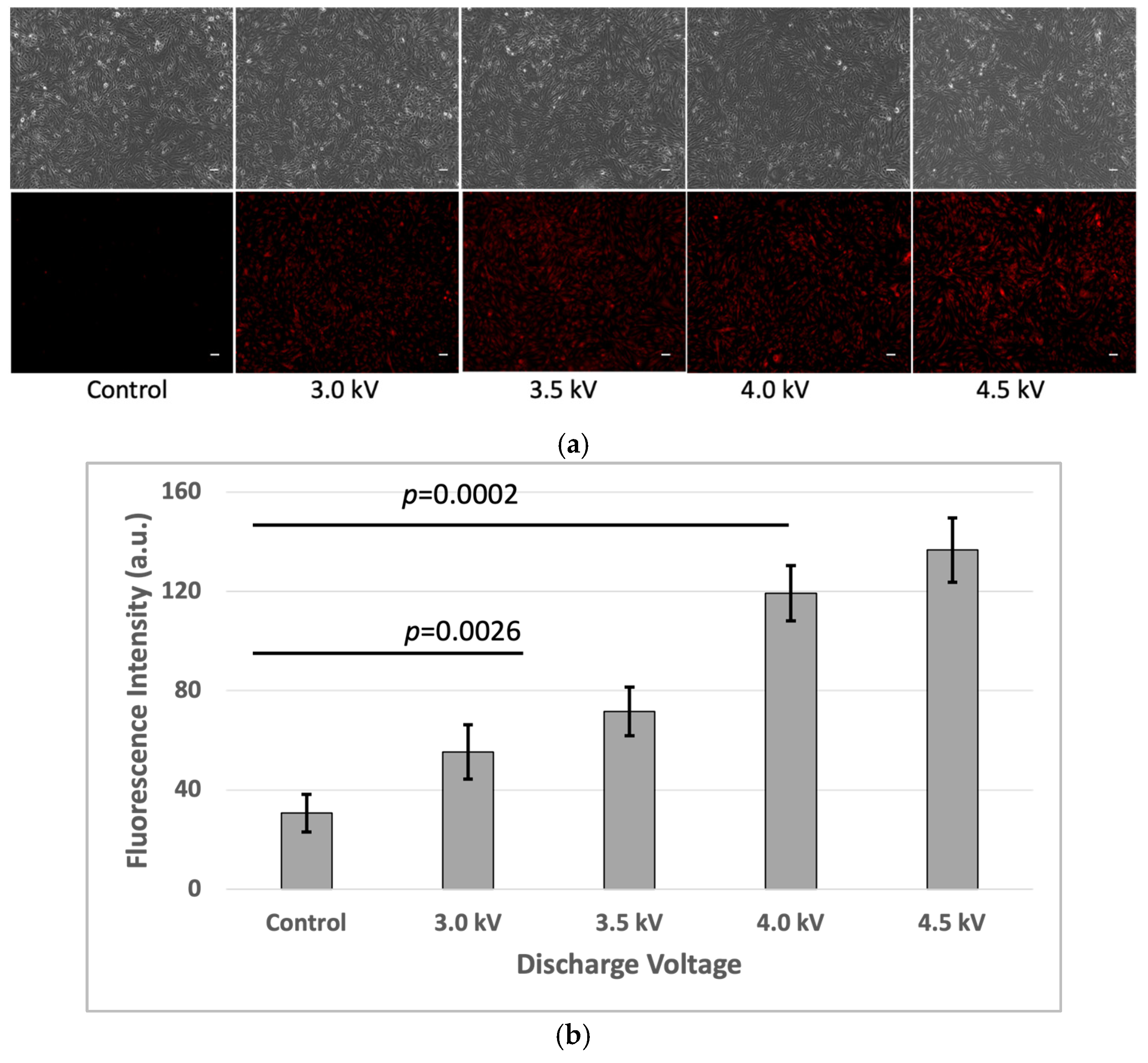 Plasma 08 00019 g007