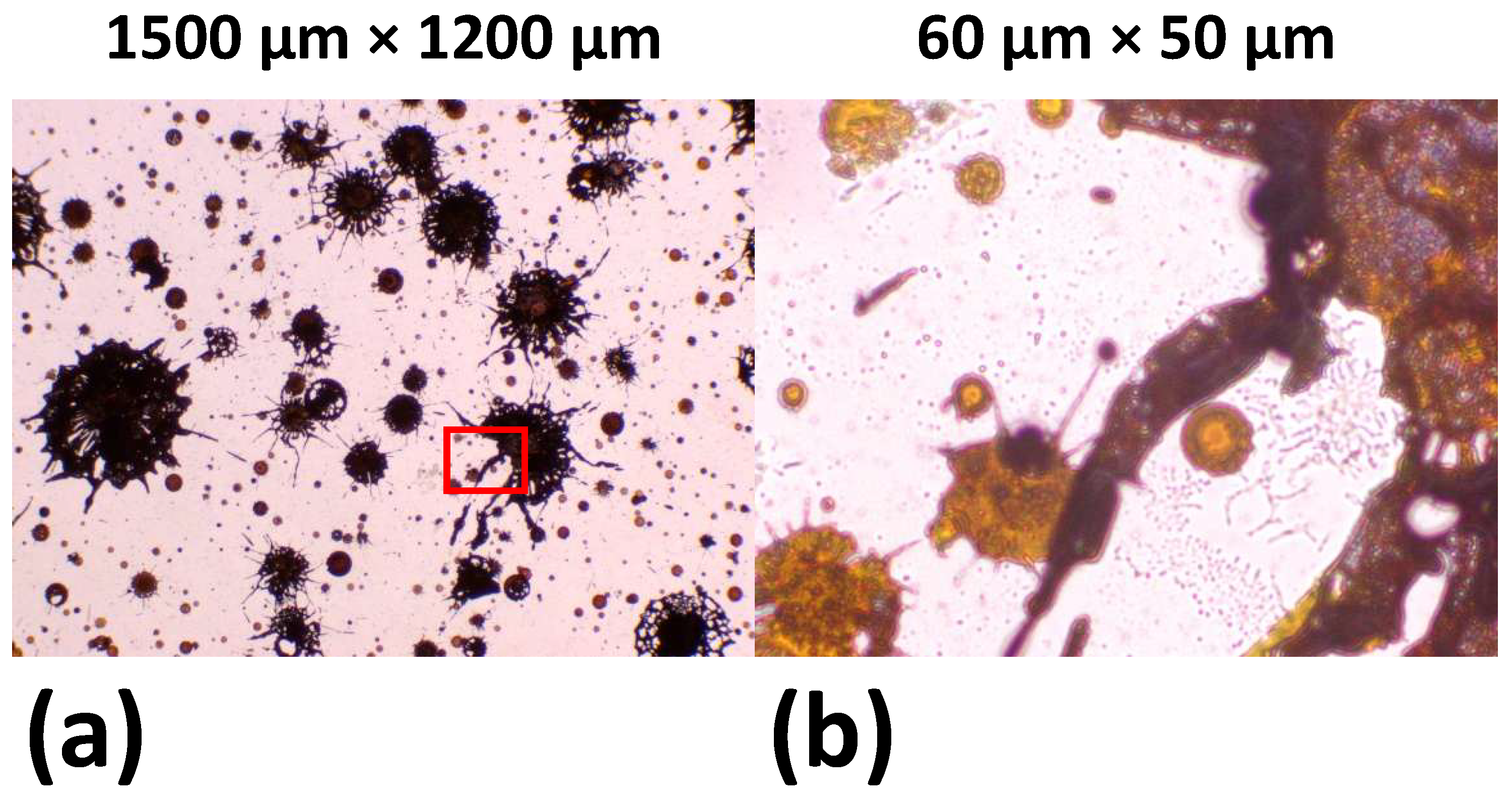 Plasma 09 00024 g018 Plasma 09 00024 g018
