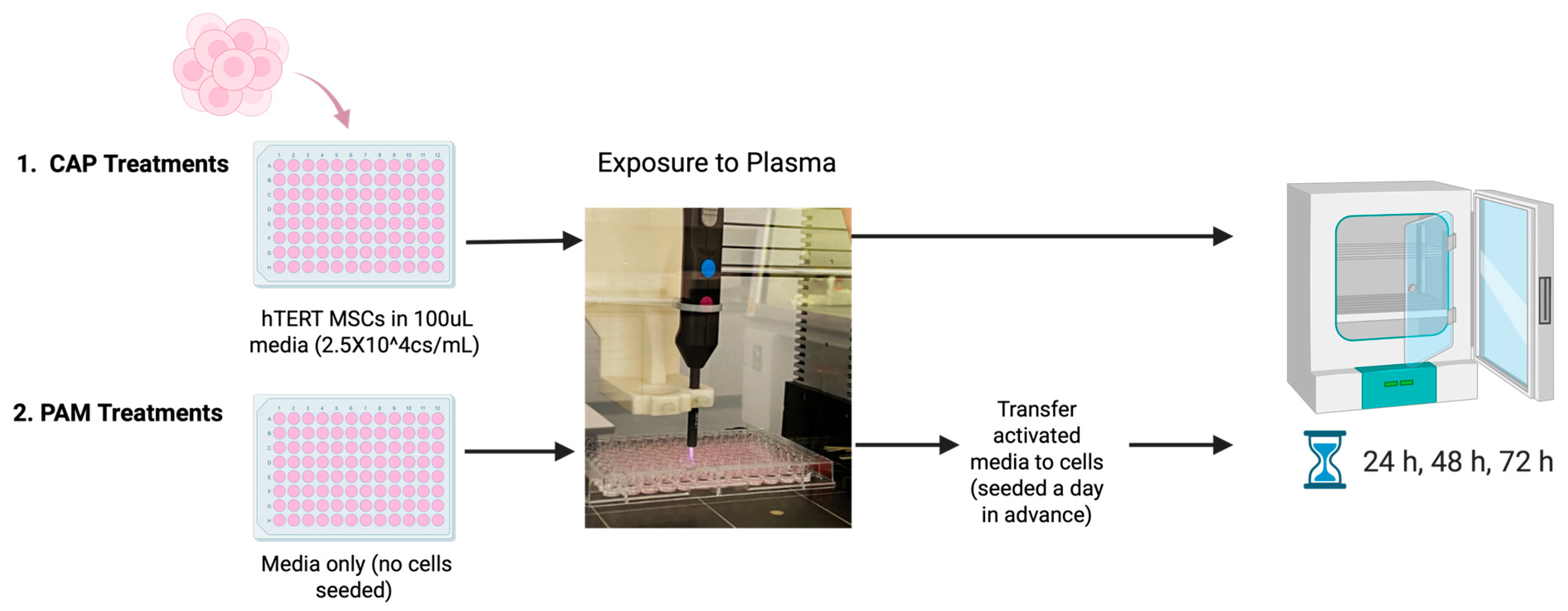 Plasma 09 00043 g001