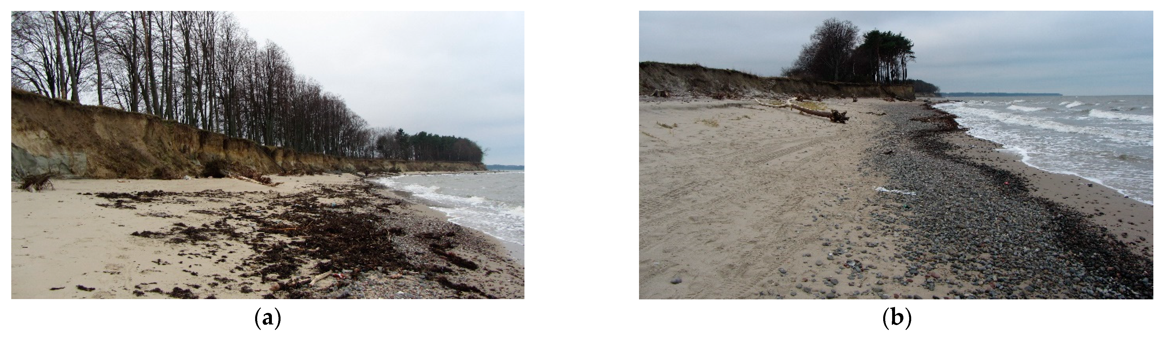 Pollutants 01 00013 g004