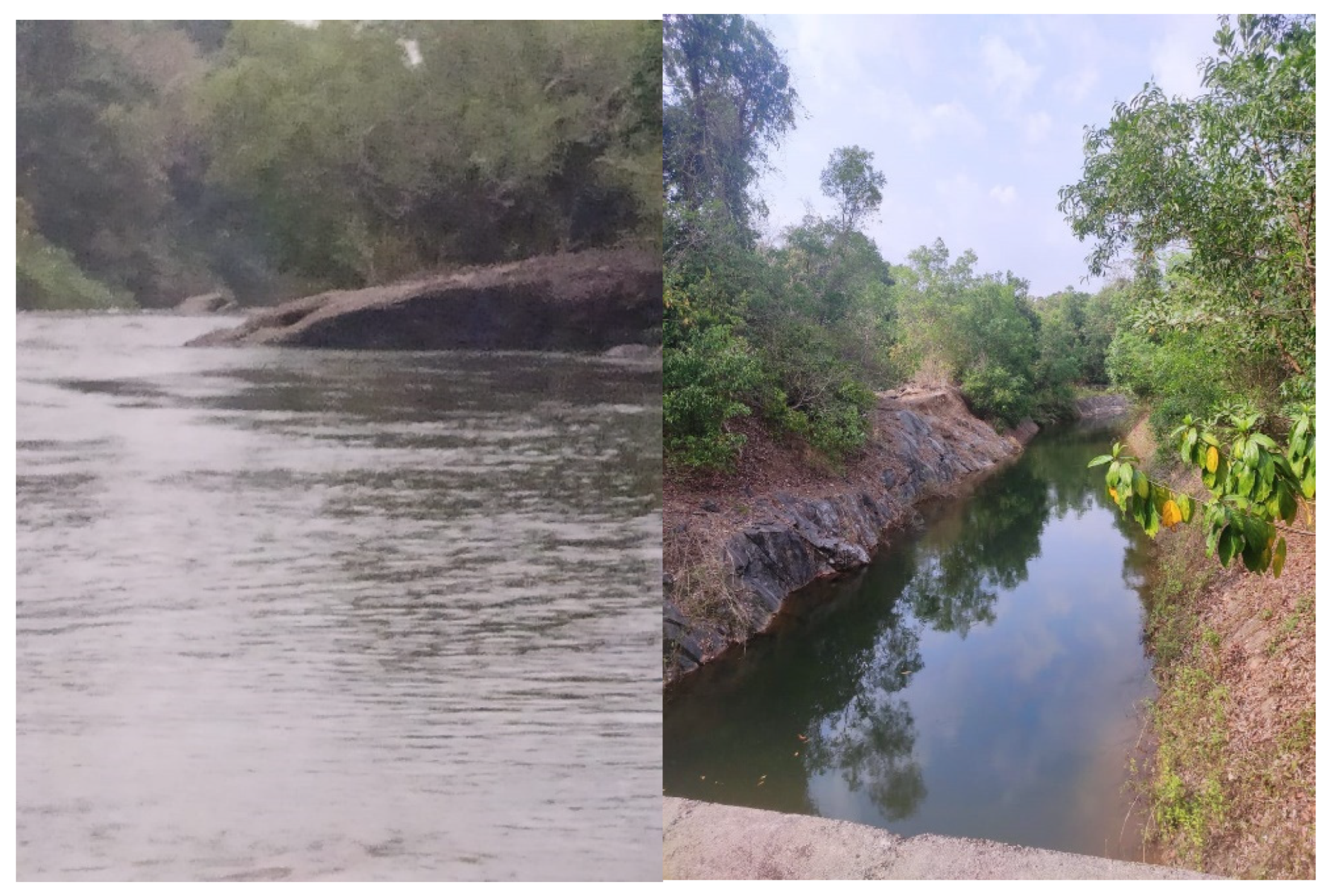 Pollutants 02 00026 g003