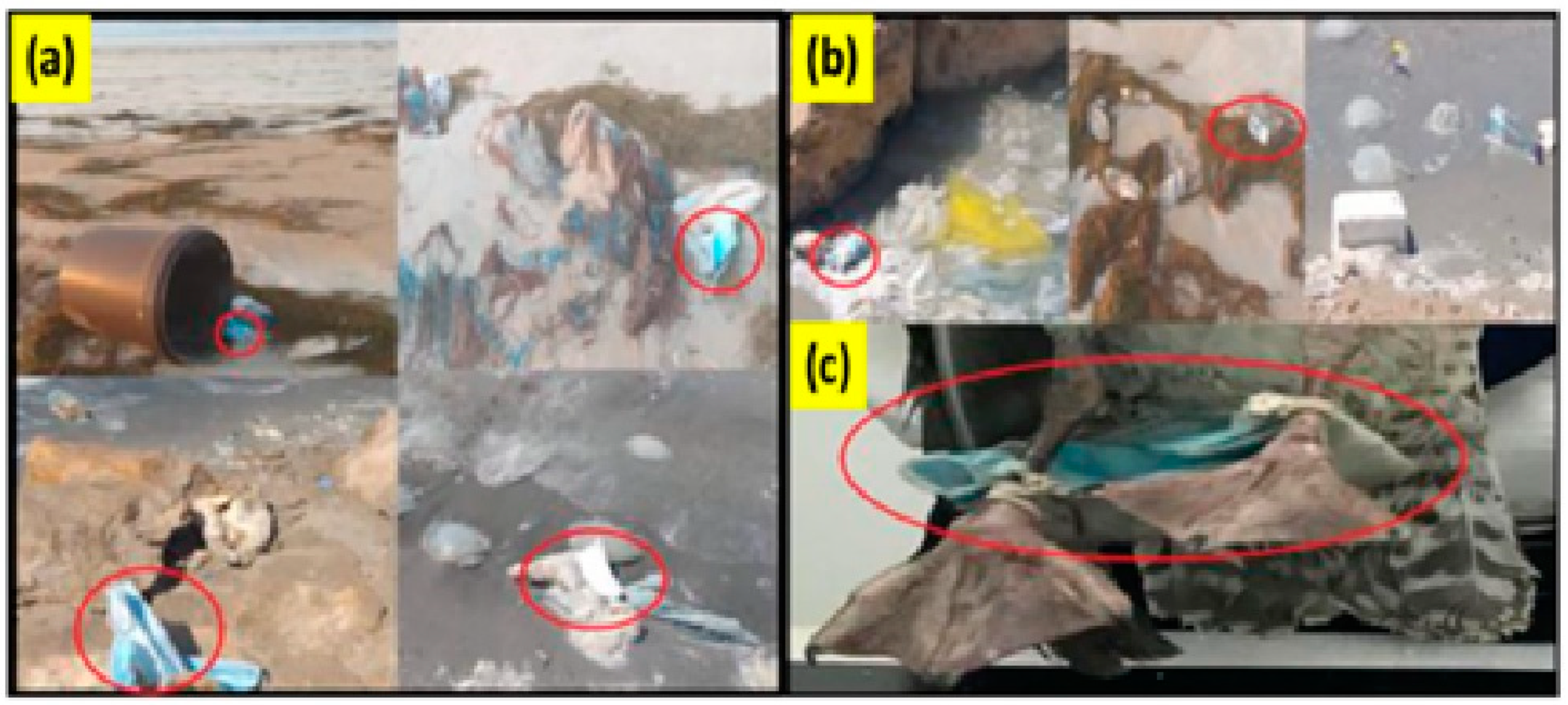 Pollutants 02 00034 g002