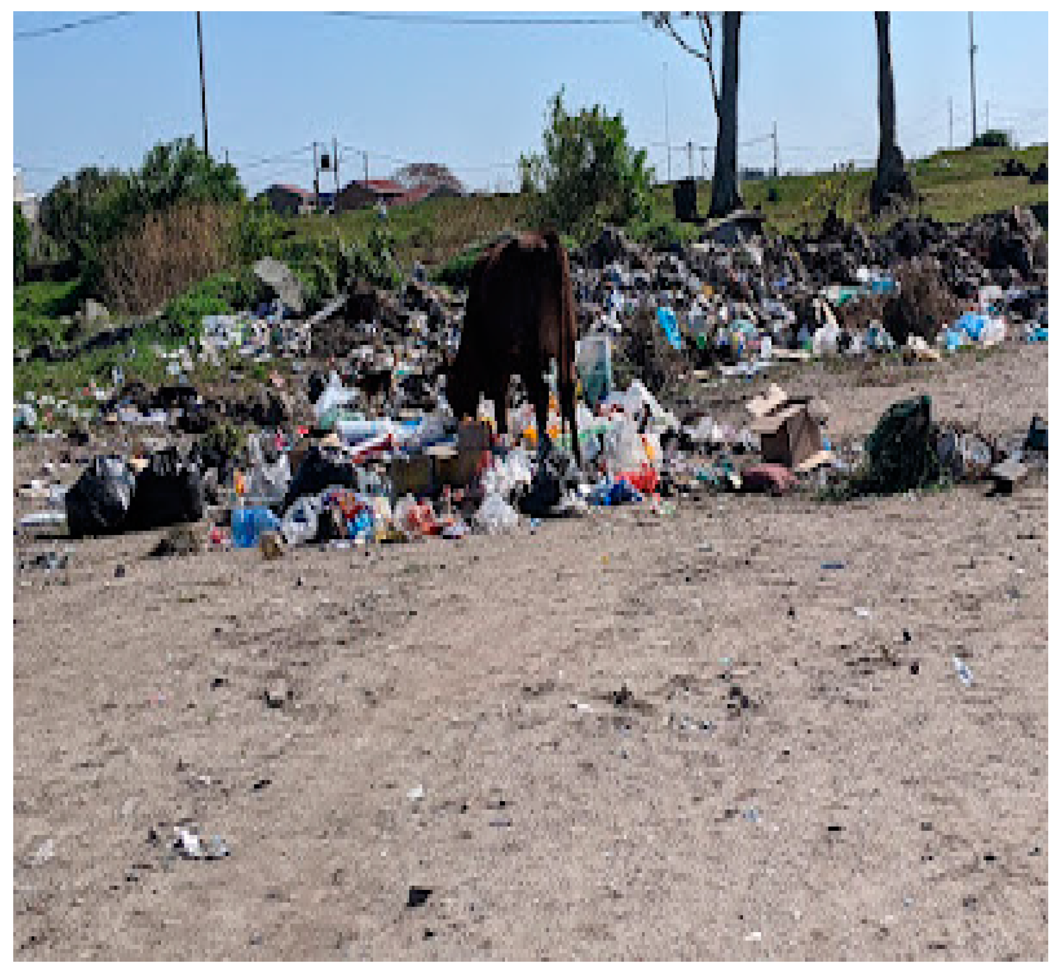 Pollutants 02 00034 g006