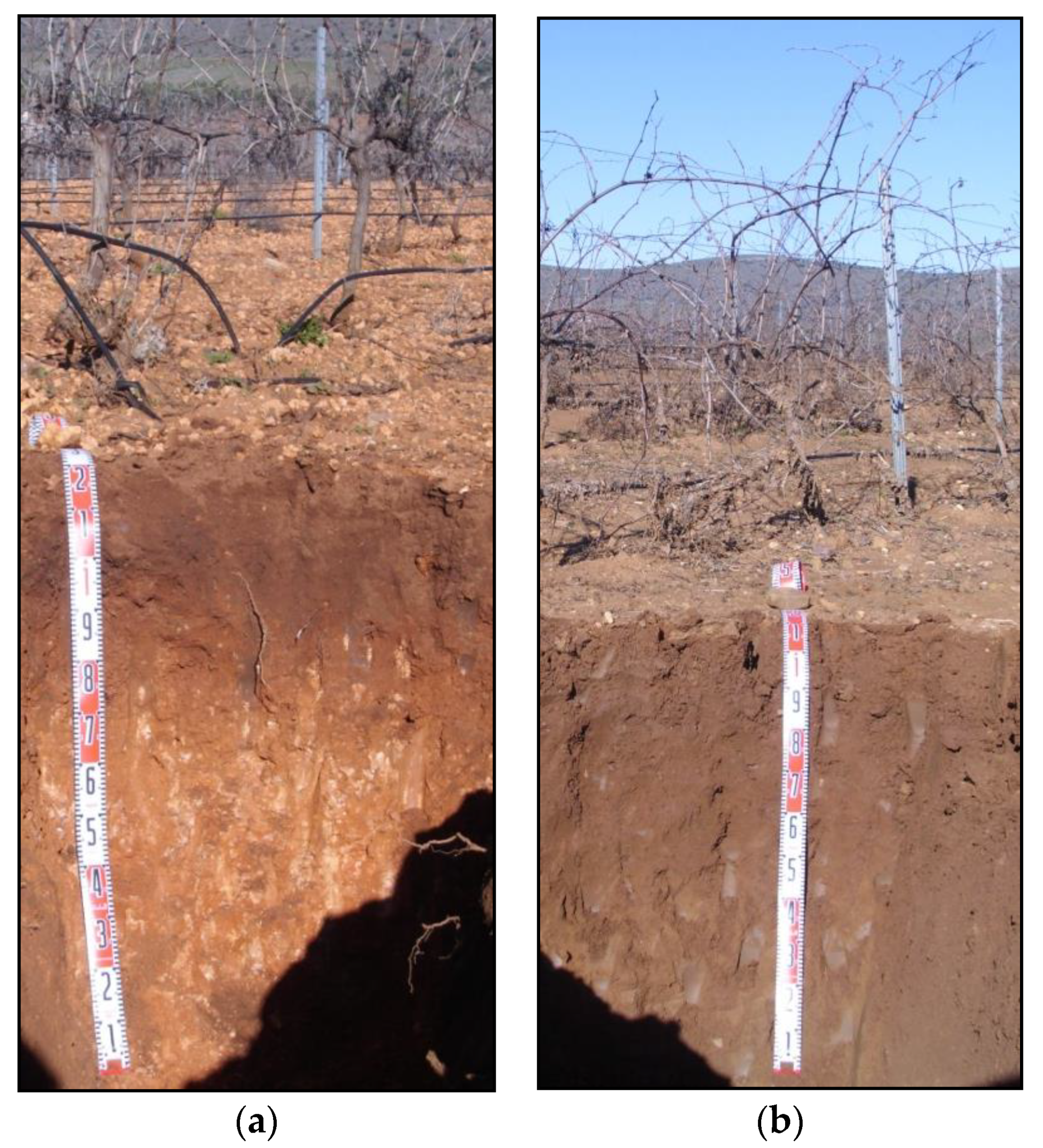 Pollutants 03 00010 g002 Pollutants 03 00010 g002