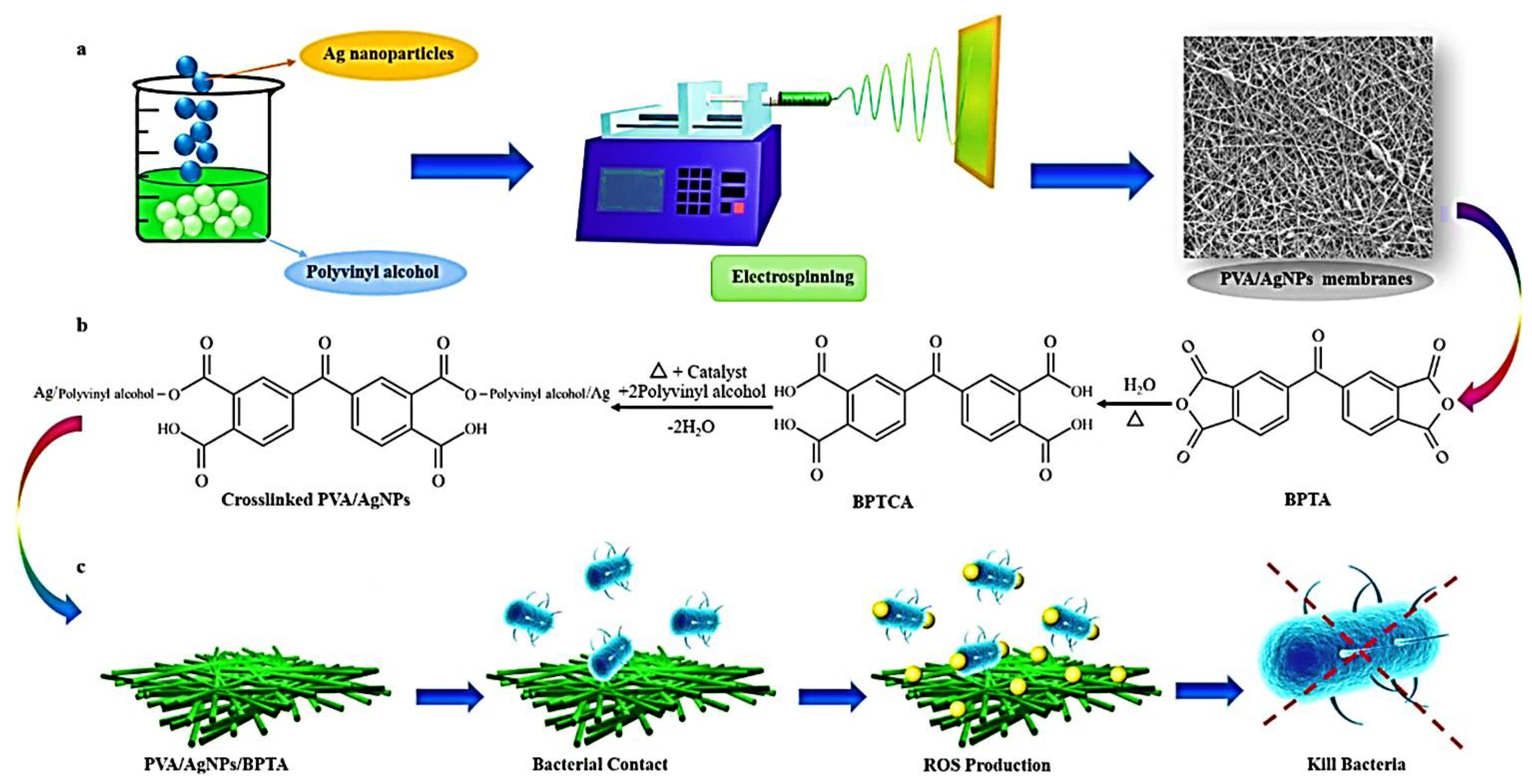Pollutants 03 00011 g011