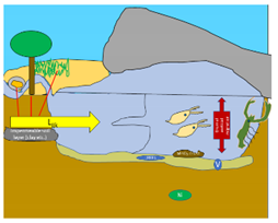 Pollutants 03 00023 i001