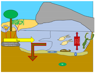 Pollutants 03 00023 i002