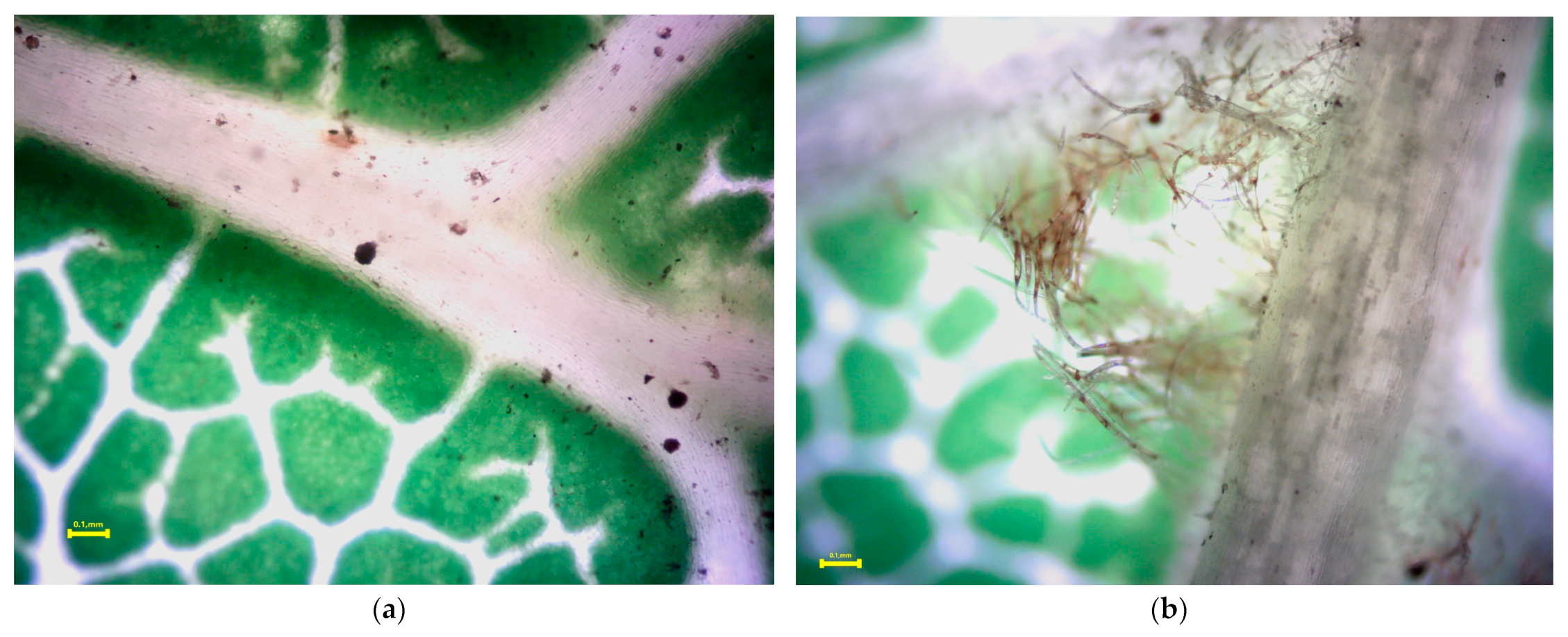 Pollutants 03 00035 g005