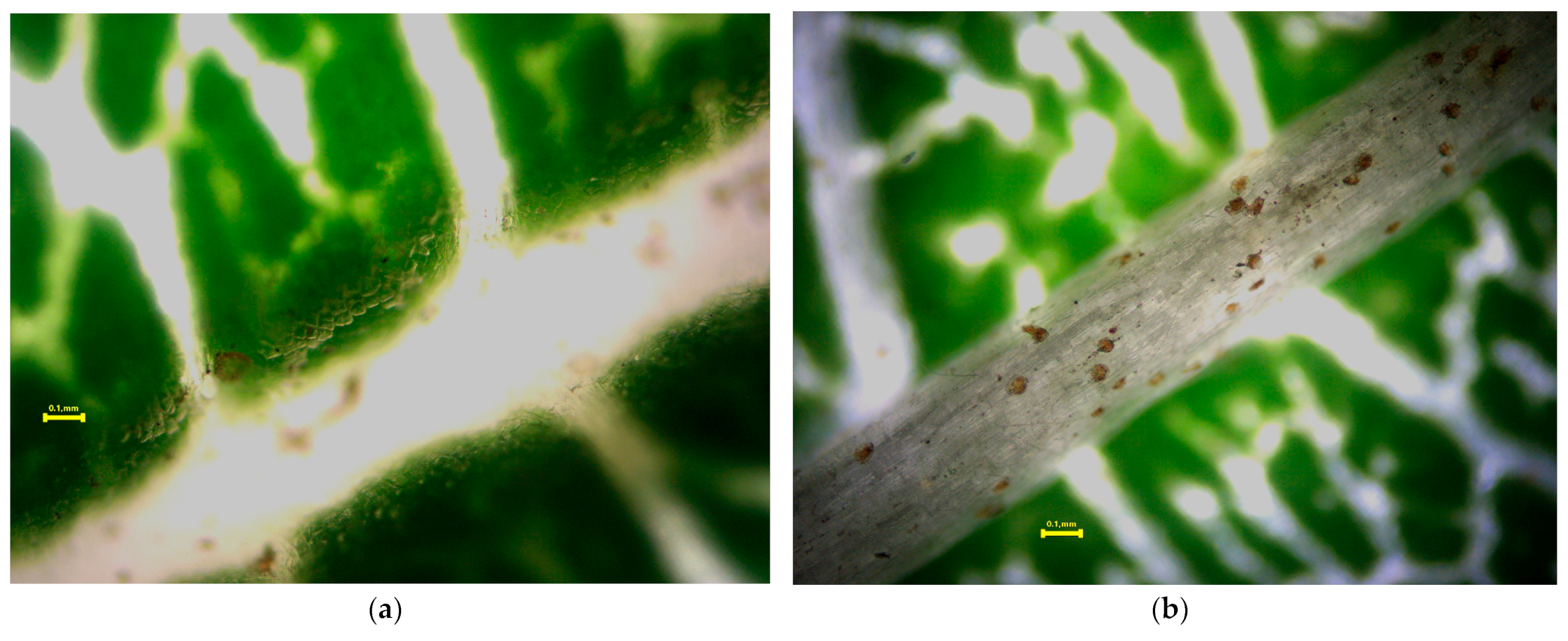 Pollutants 03 00035 g006