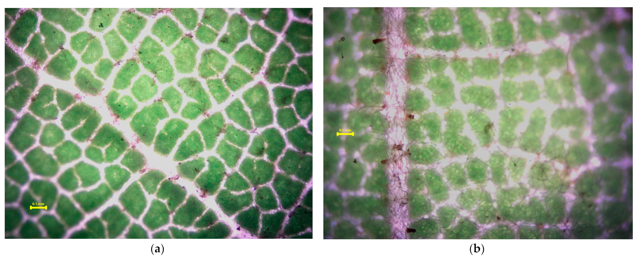 Pollutants 03 00035 g007