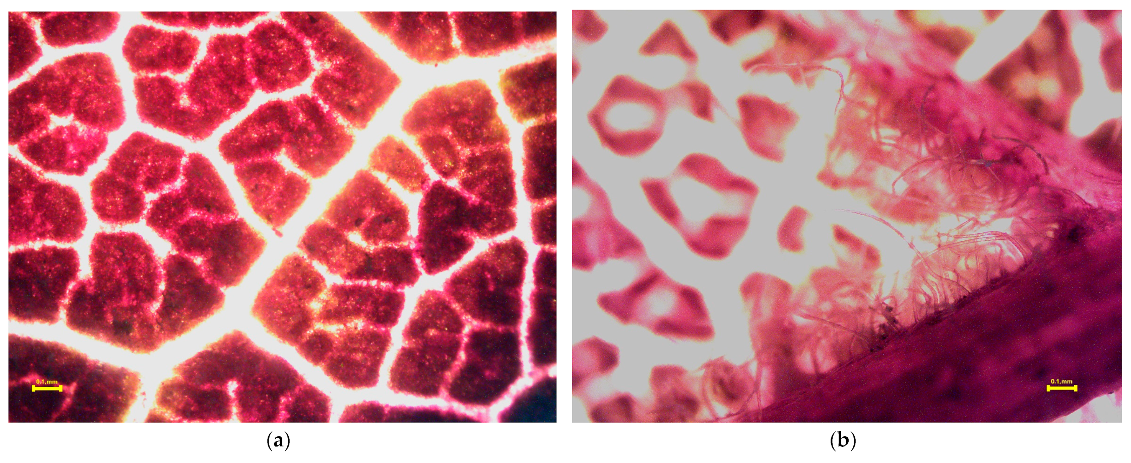 Pollutants 03 00035 g008