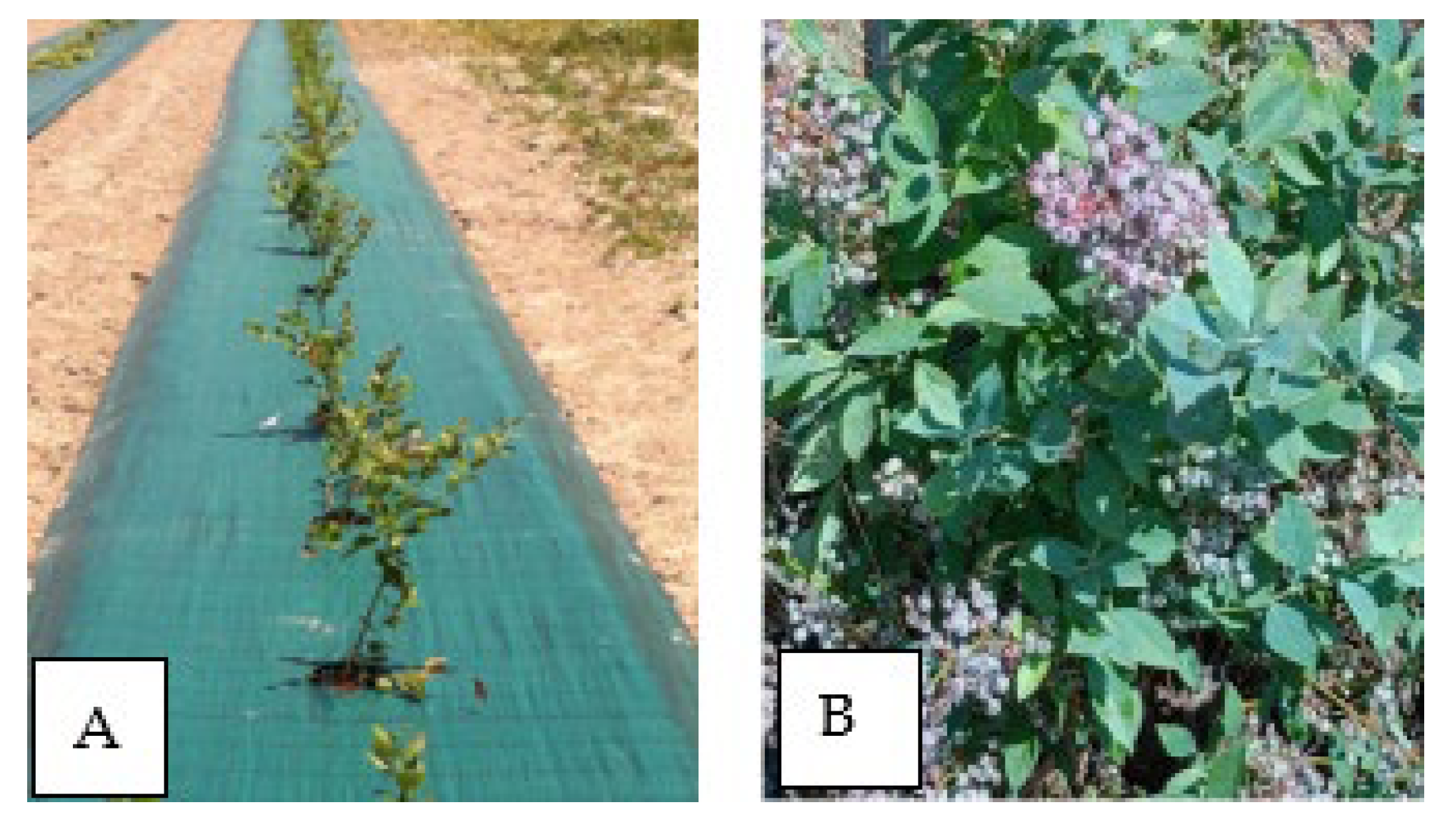 Pollutants 04 00002 g001