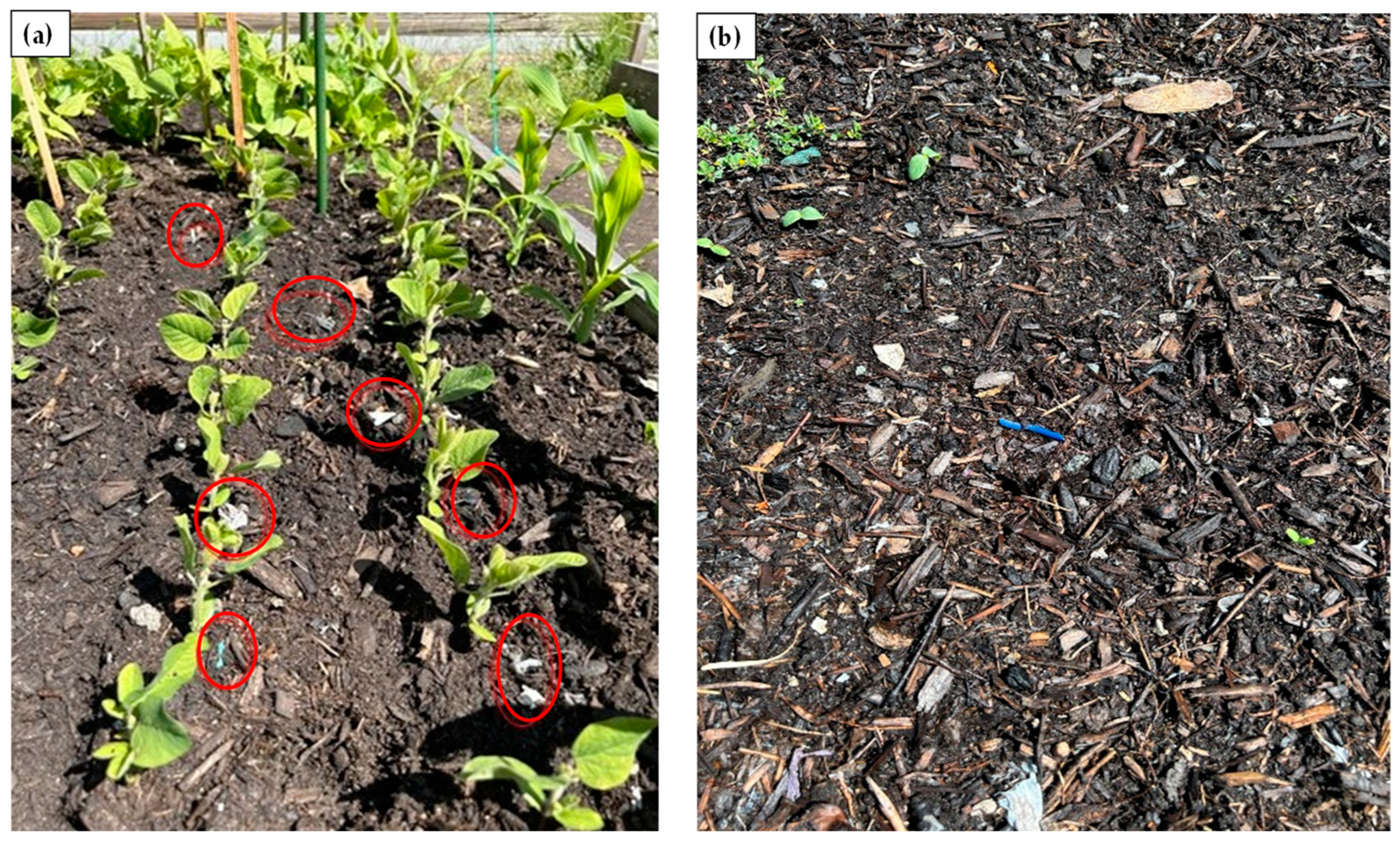 Pollutants 04 00010 g001