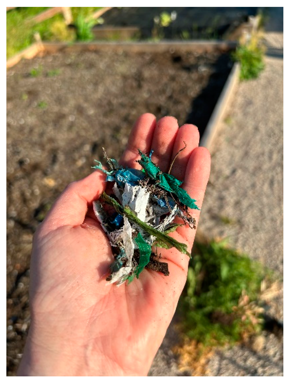 Pollutants 04 00010 g002