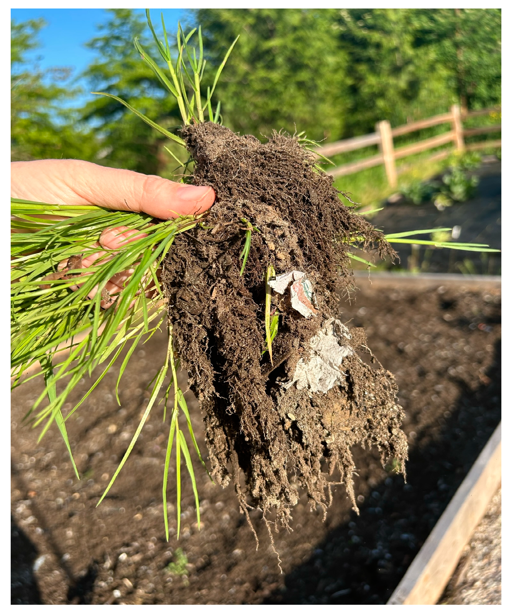 Pollutants 04 00010 g005