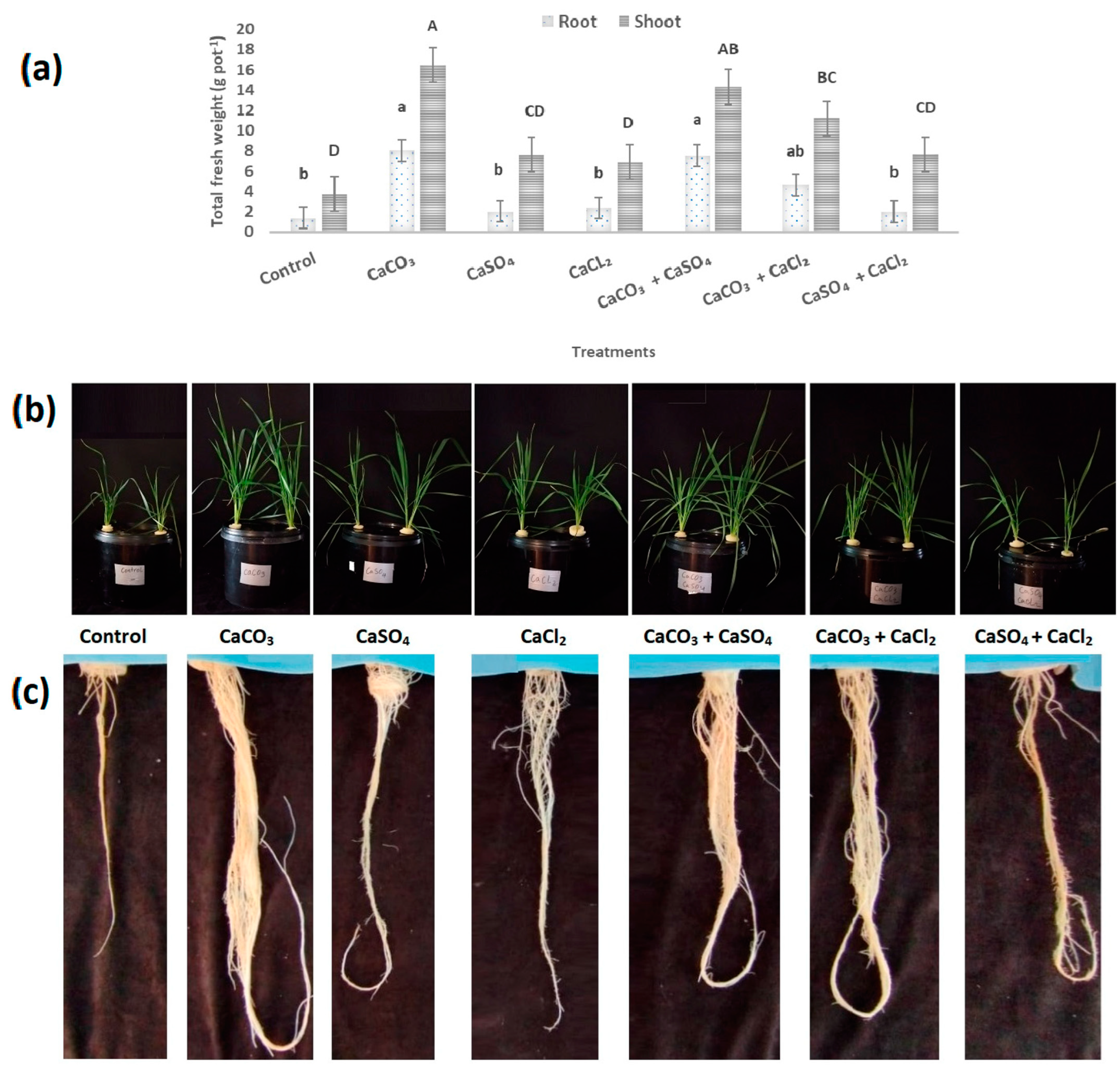 Pollutants 04 00023 g001