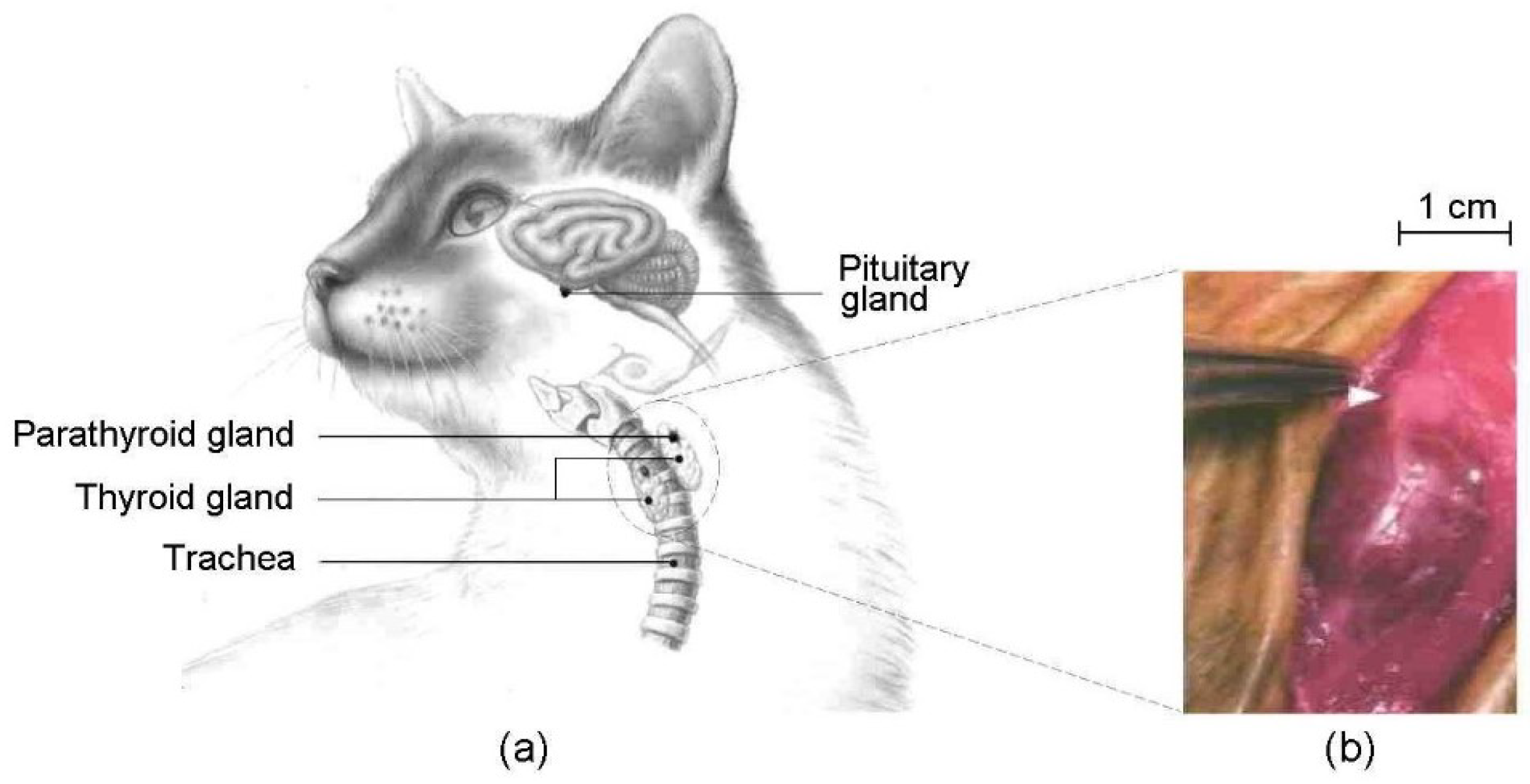 Pollutants 05 00008 g001