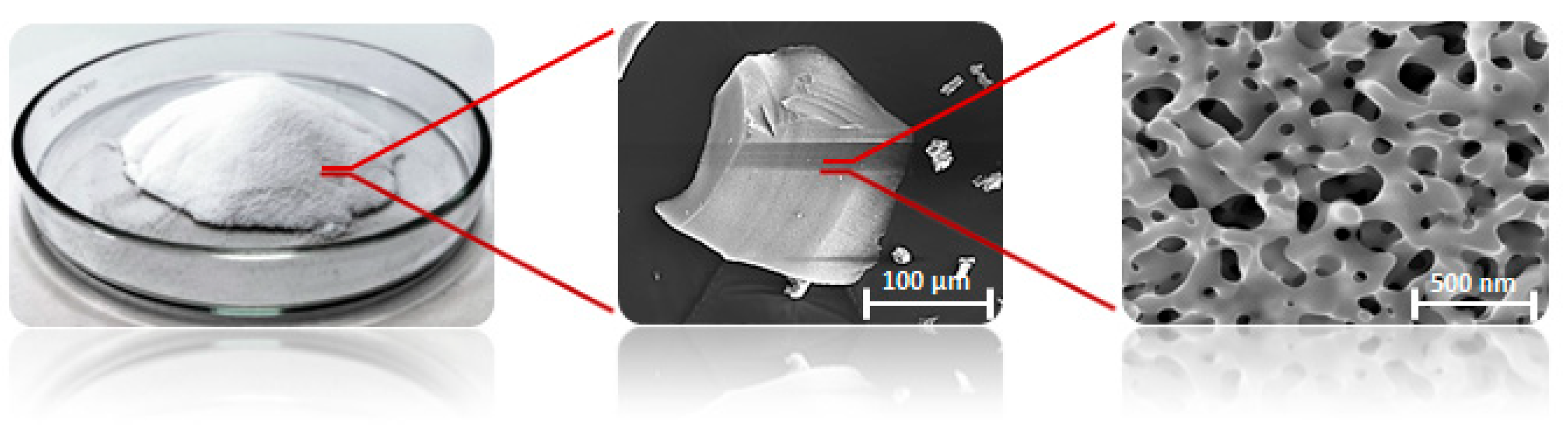 Pollutants 05 00013 g001