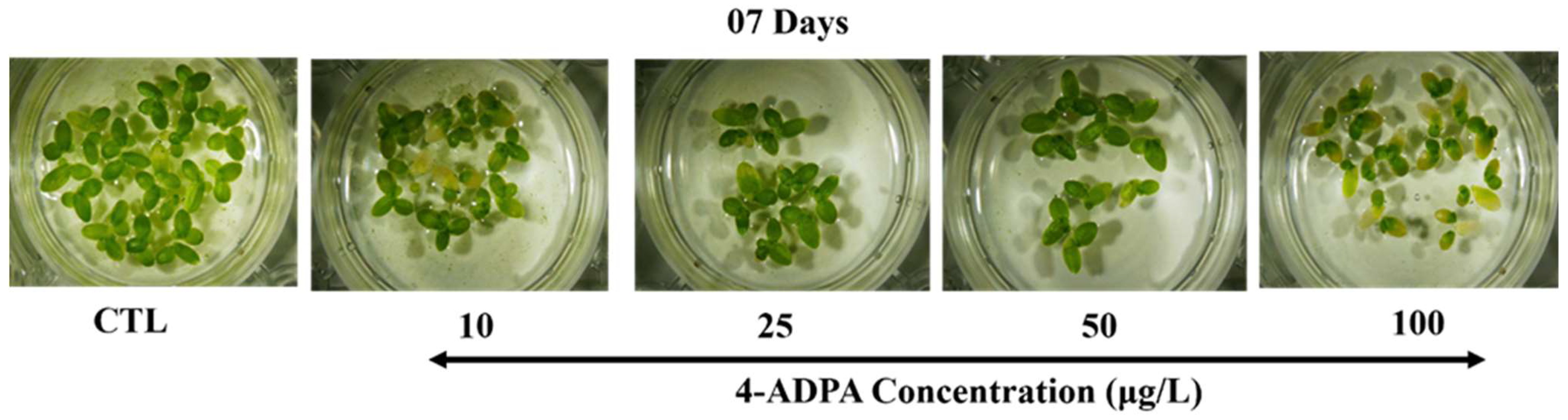 Pollutants 05 00020 g001