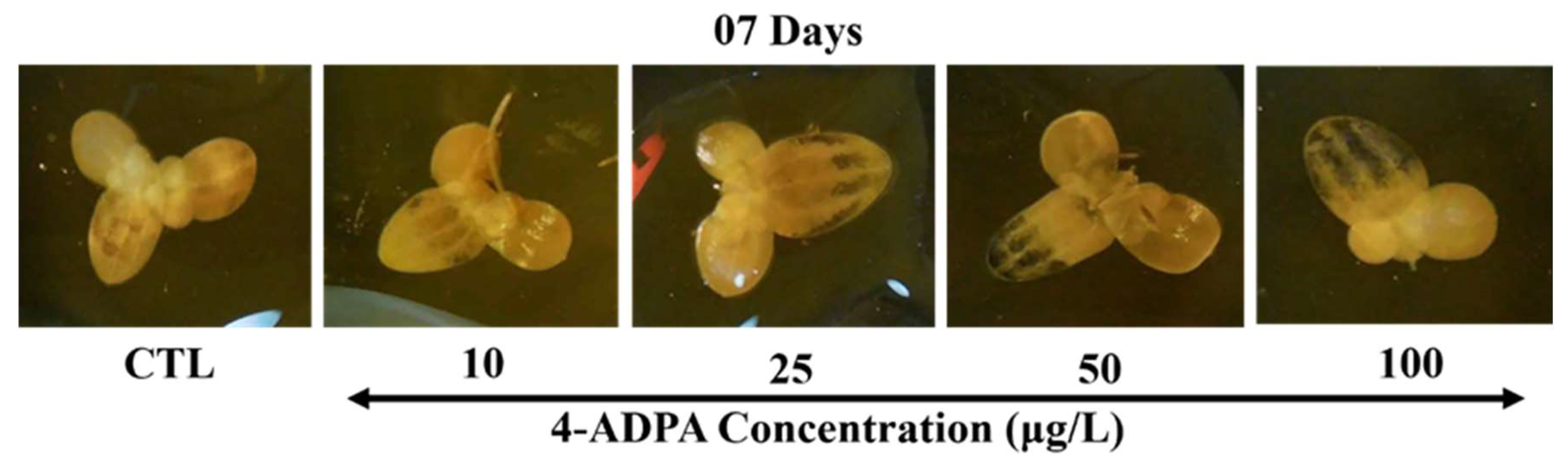 Pollutants 05 00020 g004