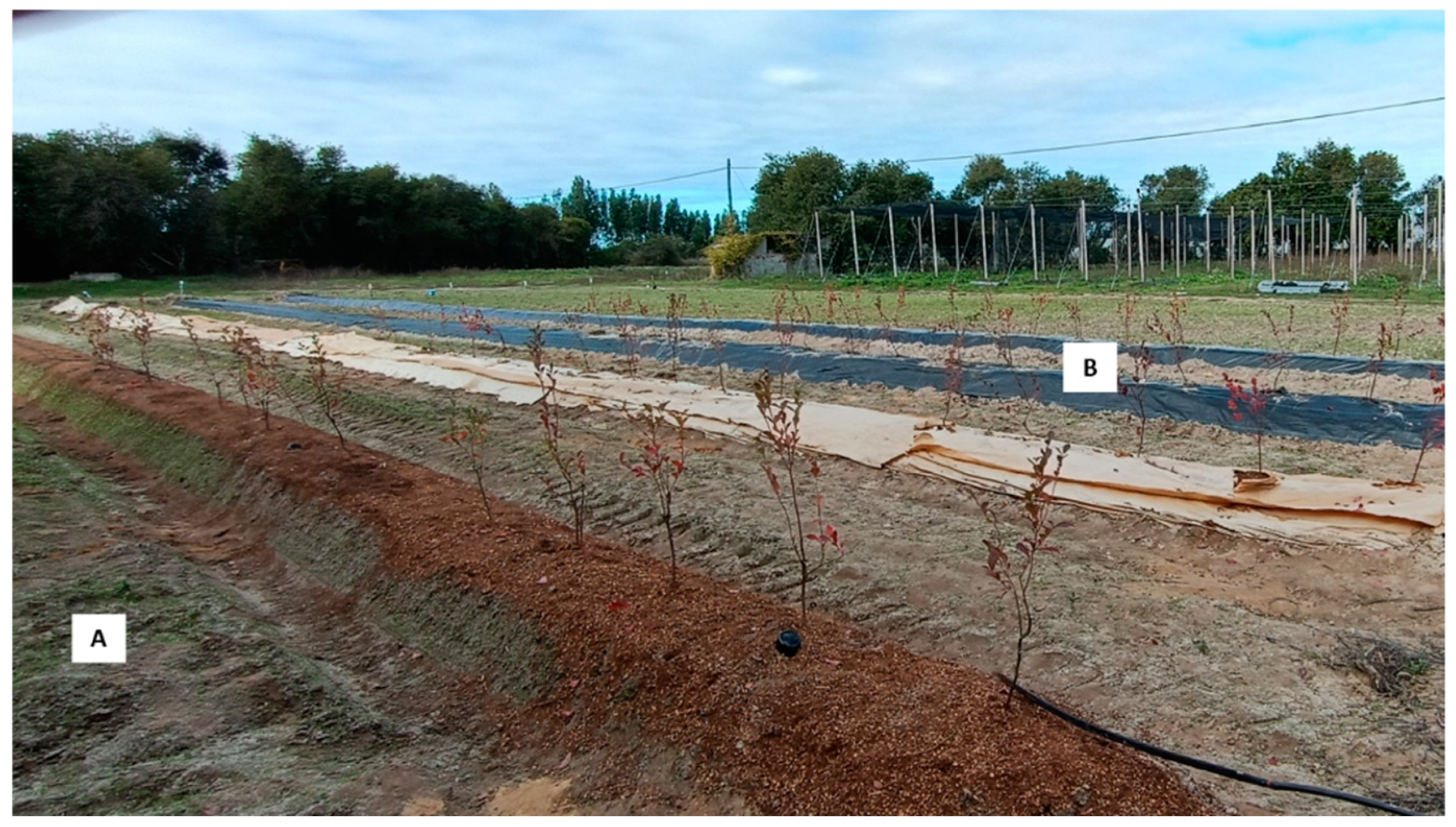 Pollutants 05 00030 g001